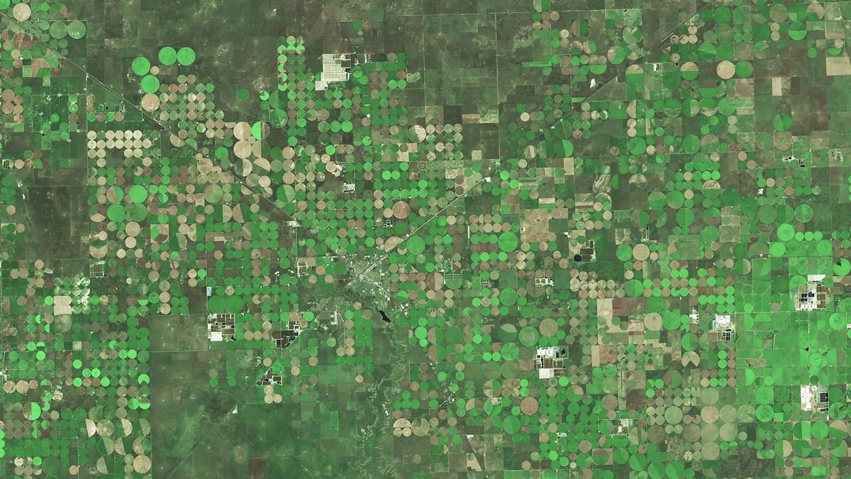 How did Texas get its crop circles? | National Geographic