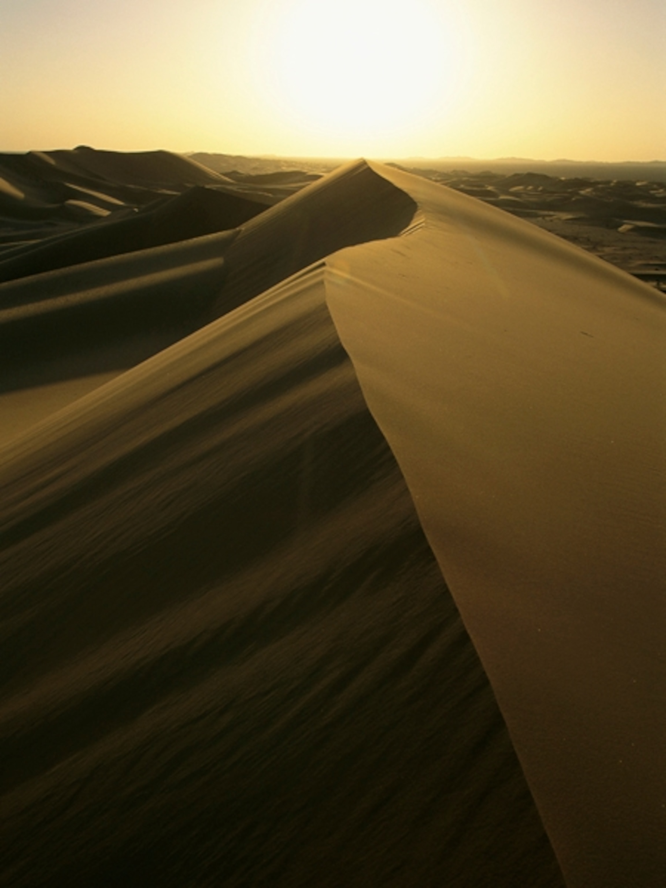 Deserts, facts and information