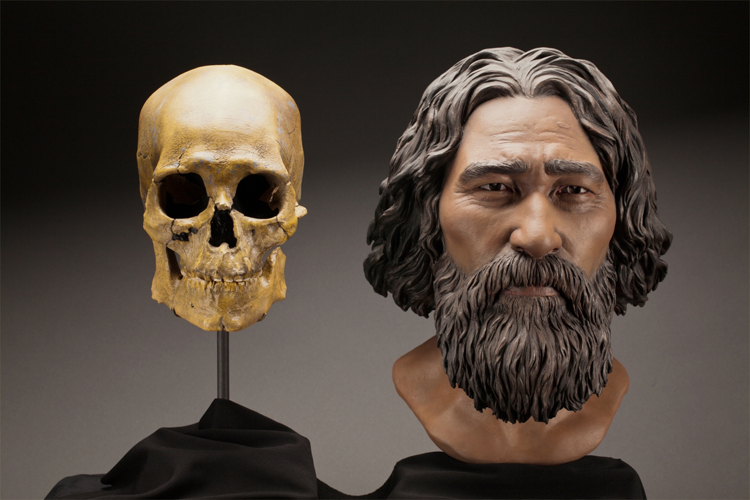 the kennewick man skull and reconstruction