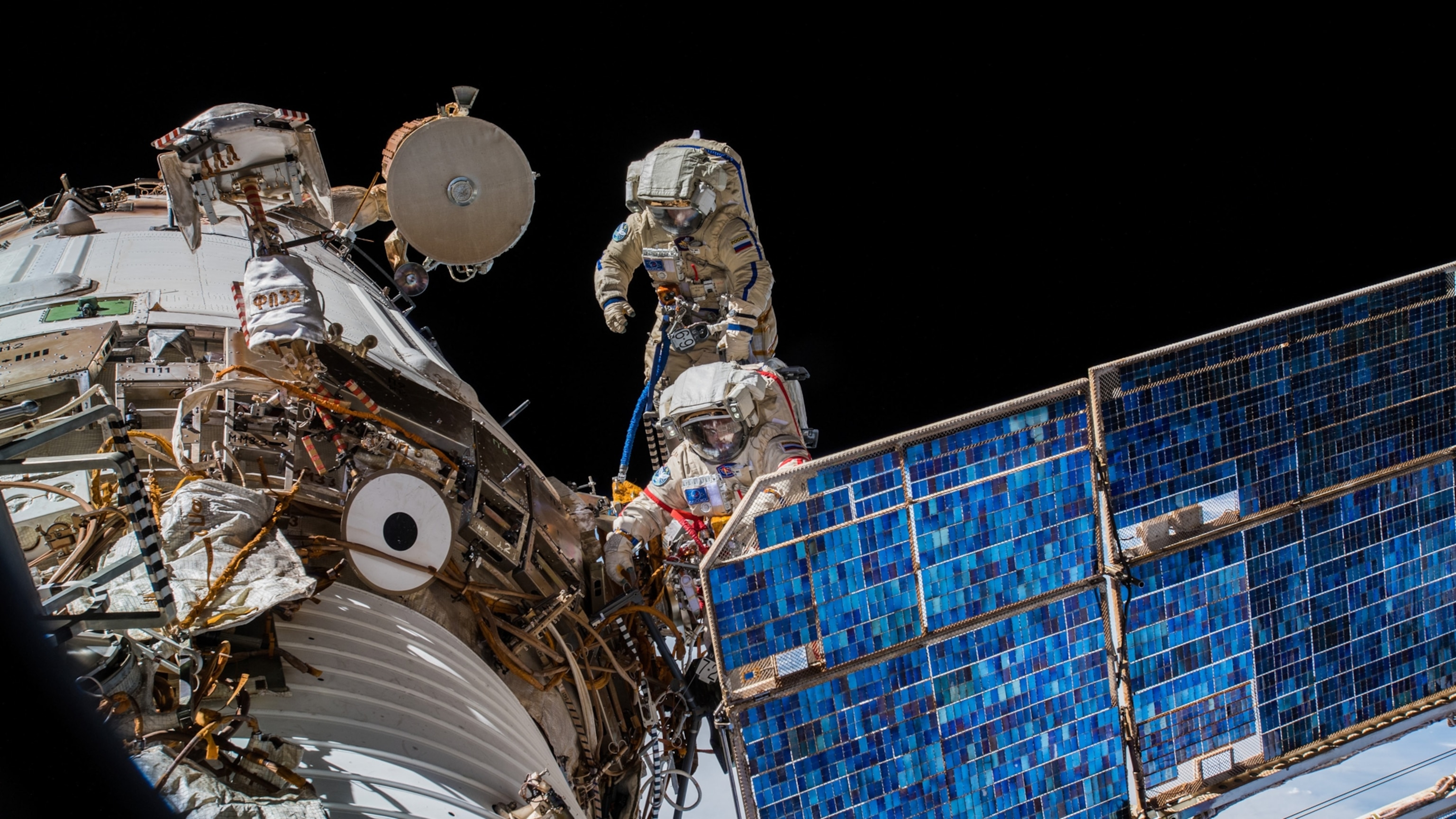 What we can learn from watching 100,000 animals in unbelievable detail—from space