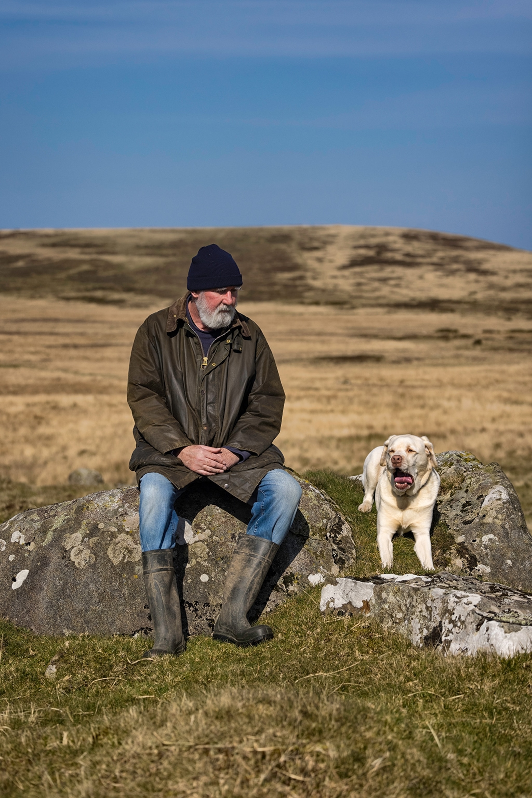 A man sitting on a rock in a field, with a golden retriever next to him