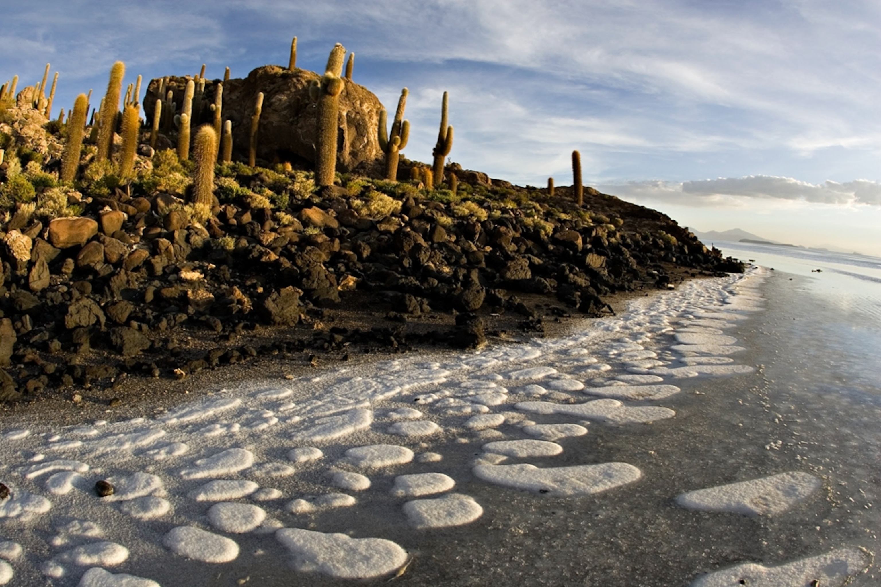 An island, covered in giant cacti, protrudes from the Salar de Uyuni
