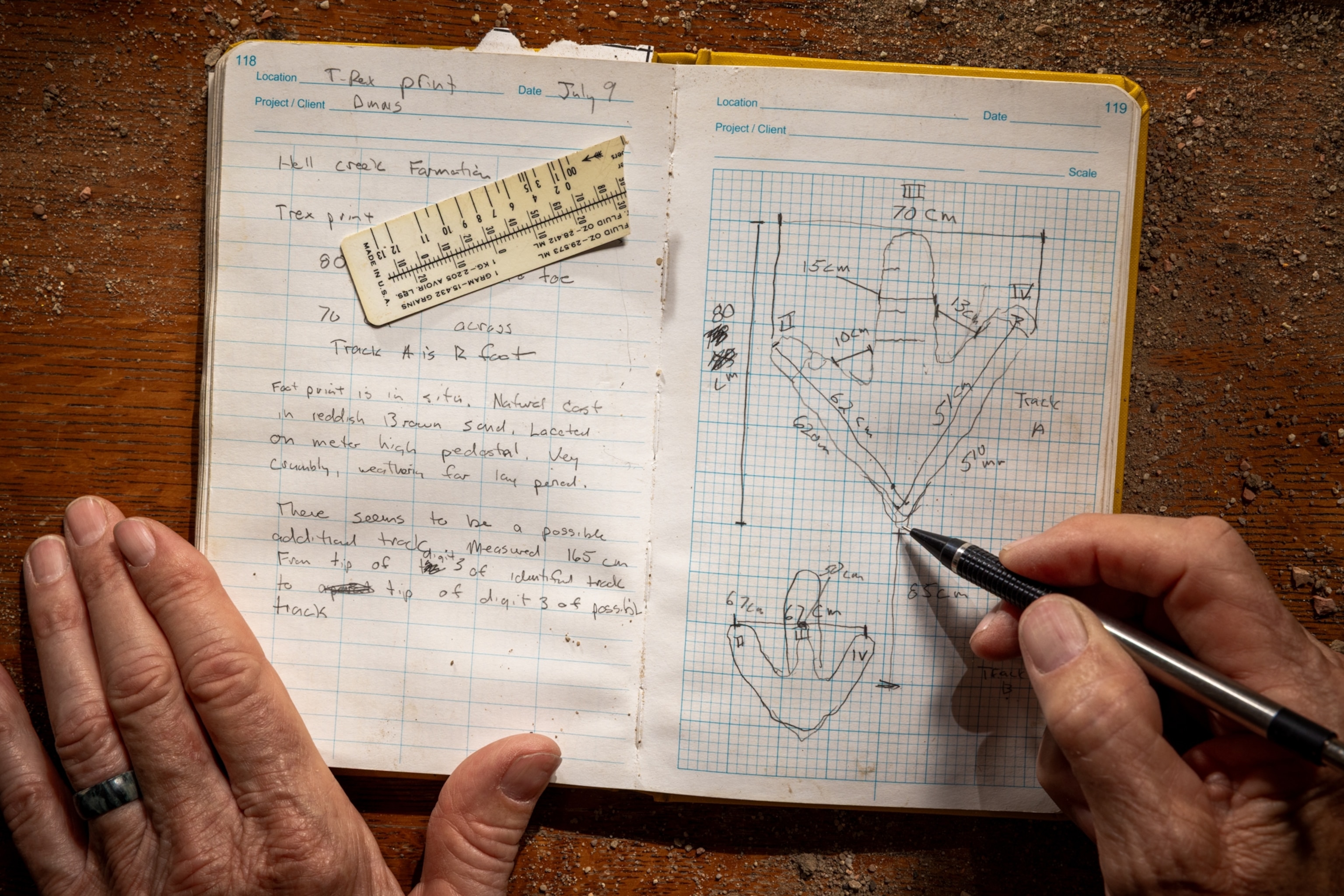 An overhead view of a graph-paper notebook with sketches of a T-rex footprint and measurements