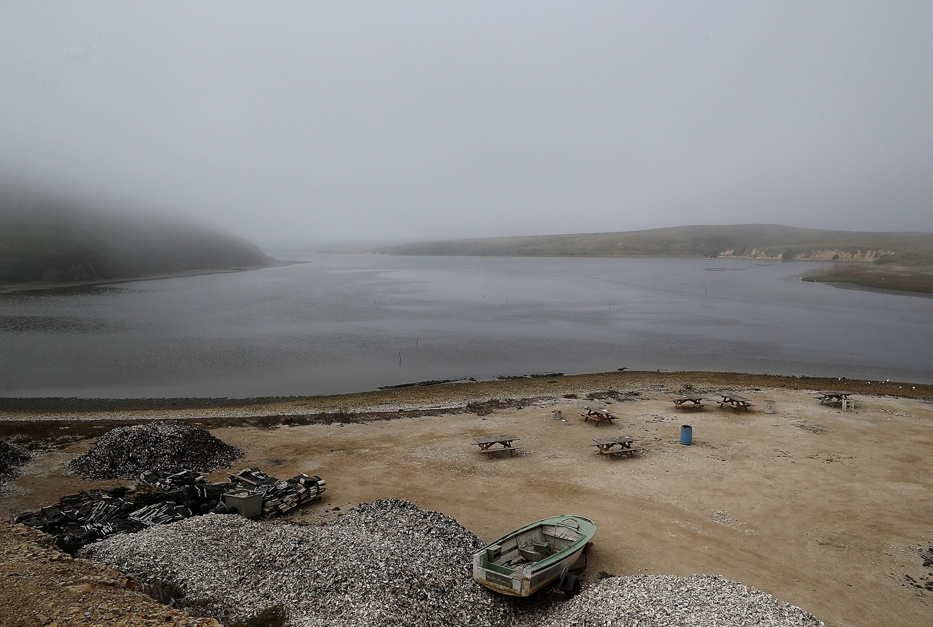 the shore near Drakes Bay Oyster Company