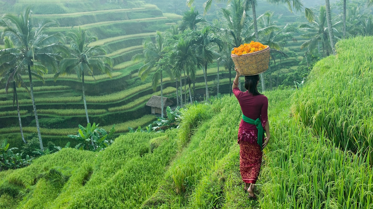 How to plan a trip to Bali, Indonesia