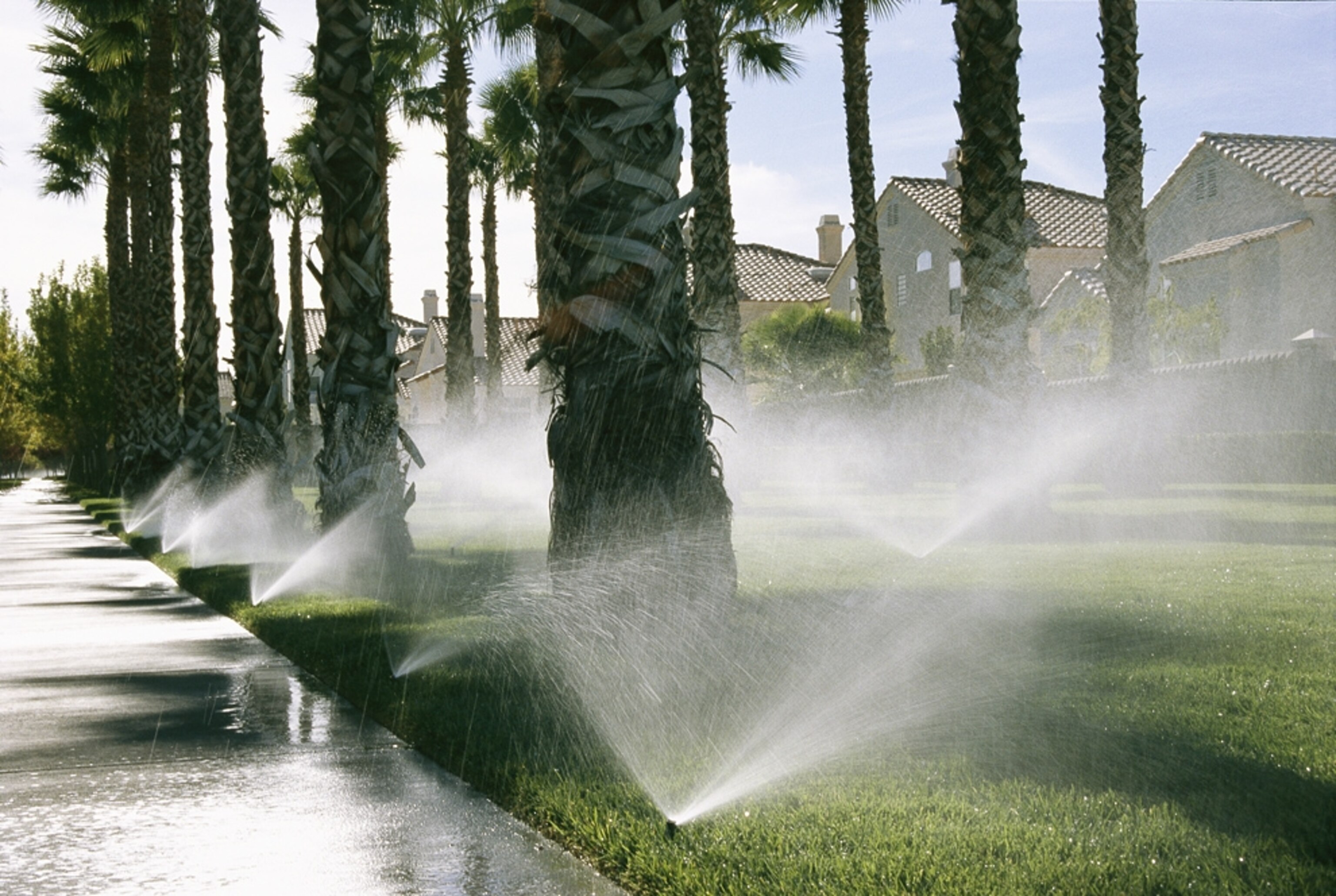 Sprinklers water a lawn