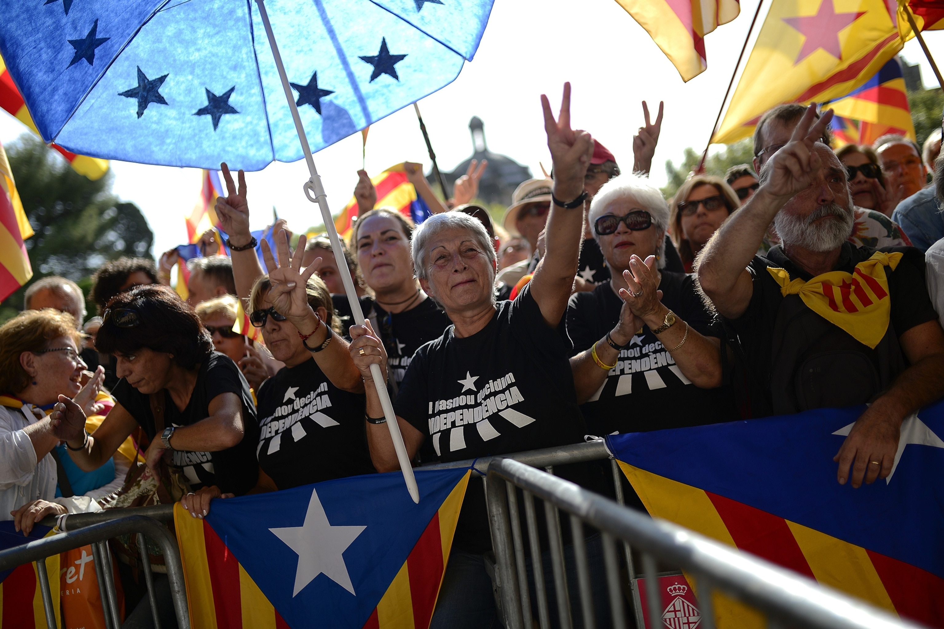 People hold "estelada" flags, Catalan separatist flags, during a gathering to mark the Calatalonia day "Diada" in central Barcelona September 11, 2014.