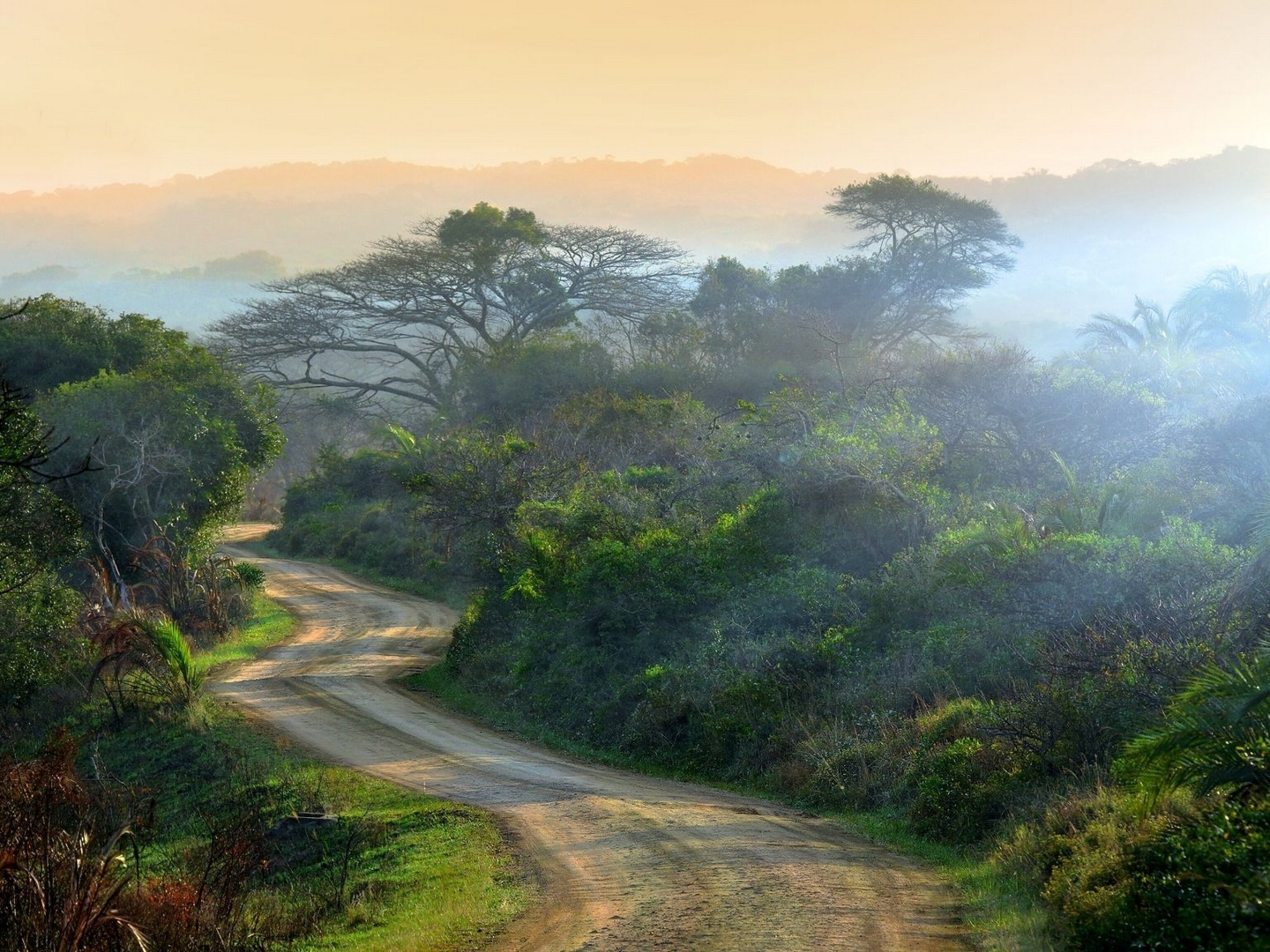 The Ultimate Road Trip Durban to Drakensberg