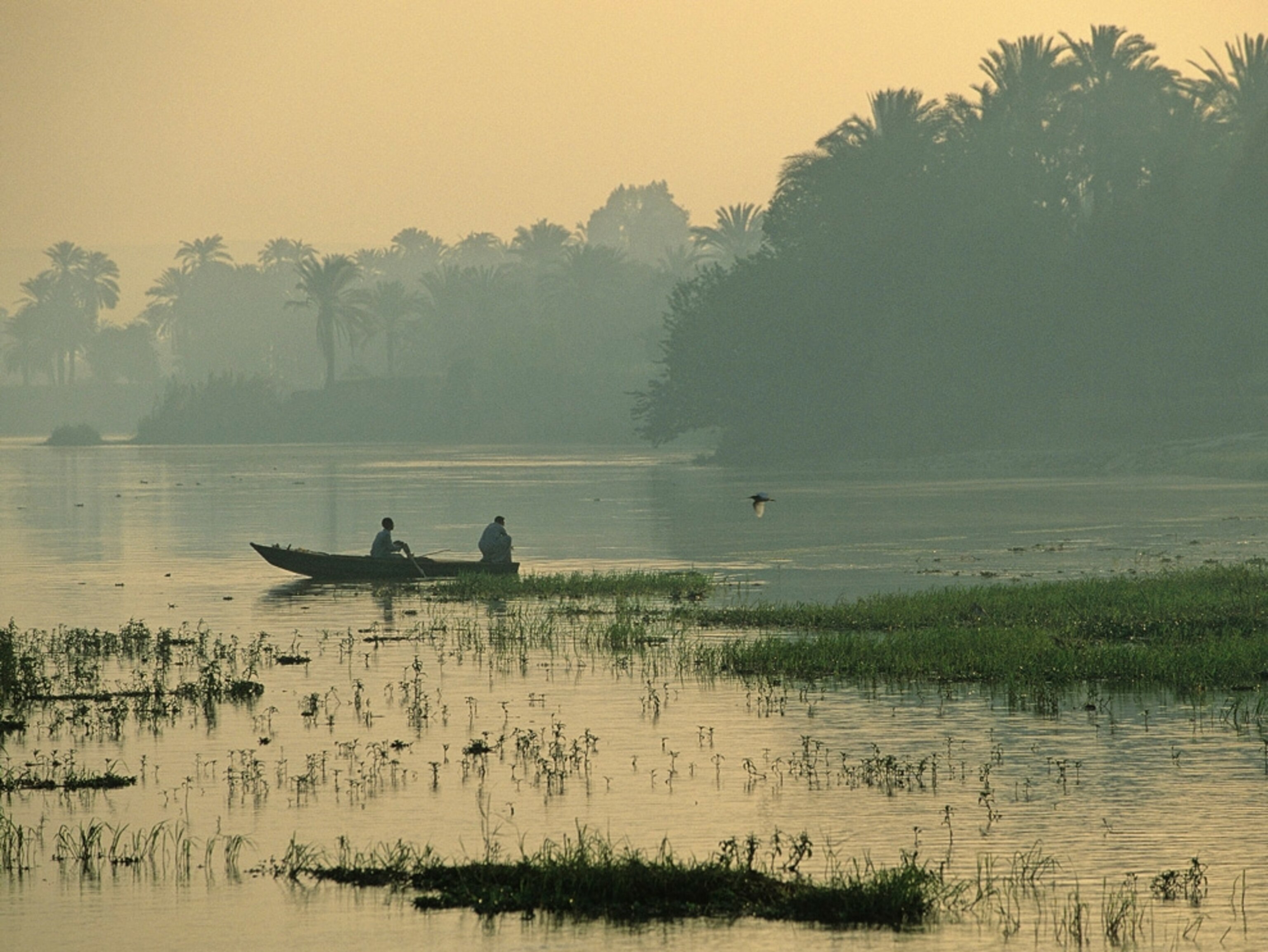 Two fishermen in a canoe at dawn on the Nile Delta