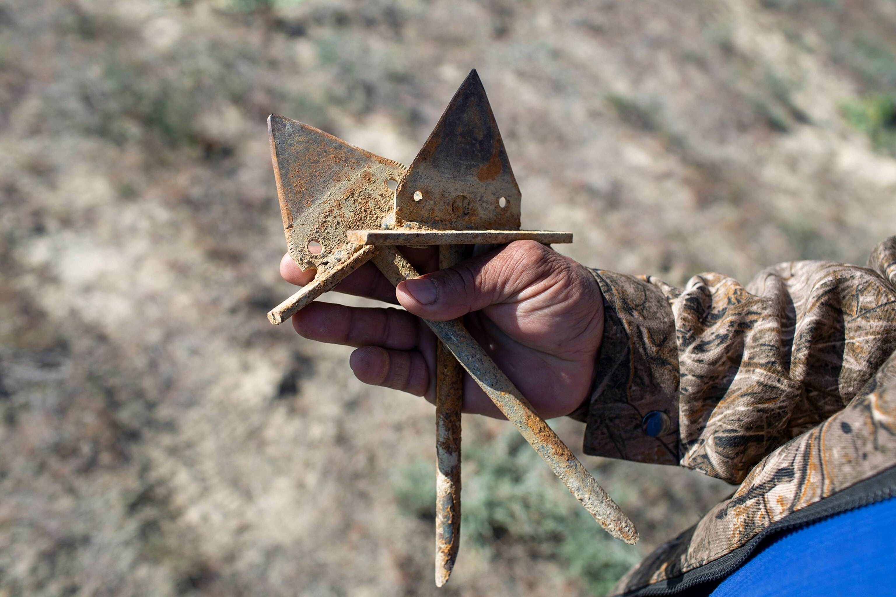 ナショナルジオグラフィックwedgeDAYS These Antelope Face Double Jeopardy: Disease and Poaching