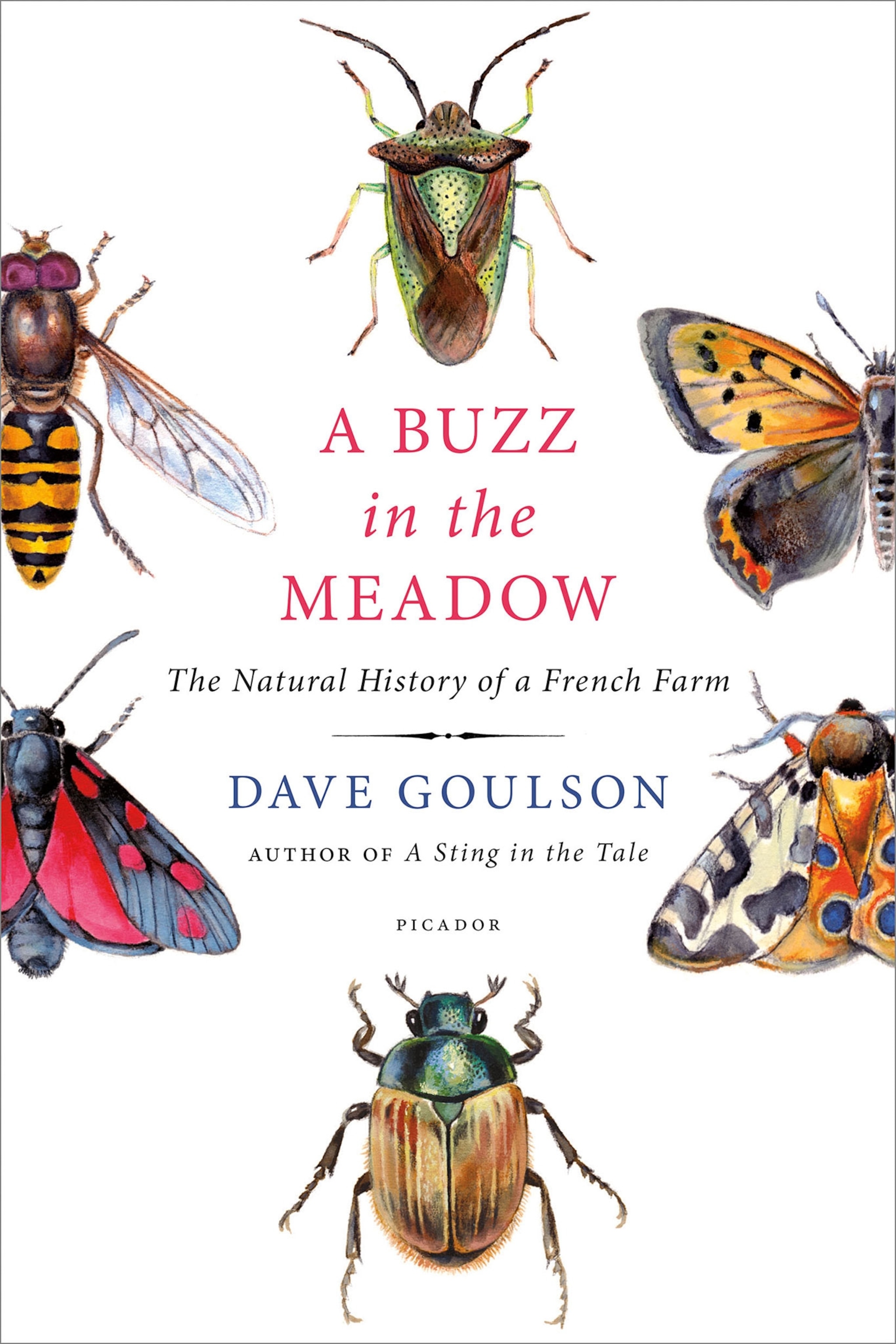 the cover of A Buzz in the Meadow