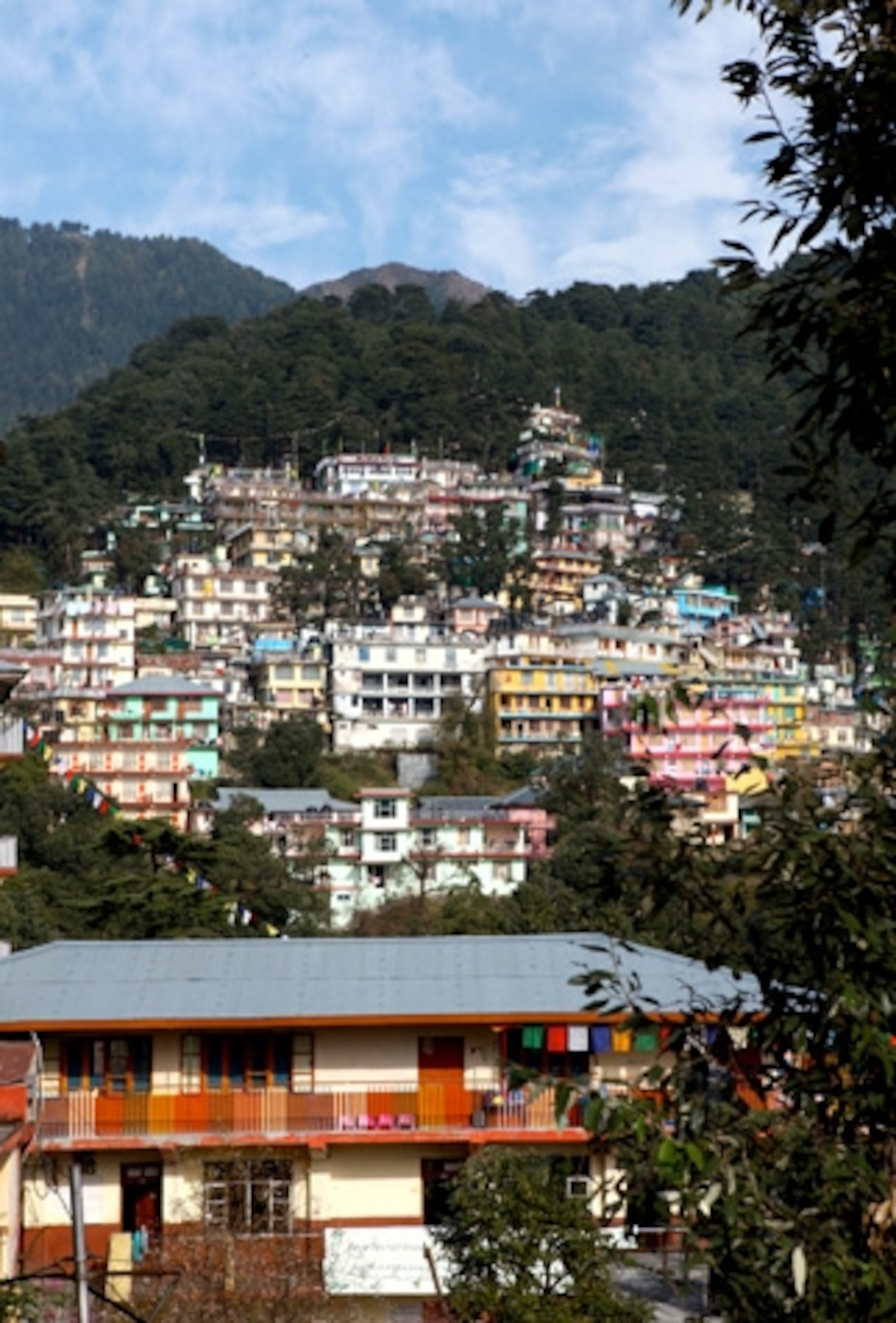 Looking up at McLeod Ganj. (Photograph by Jill Schneider)