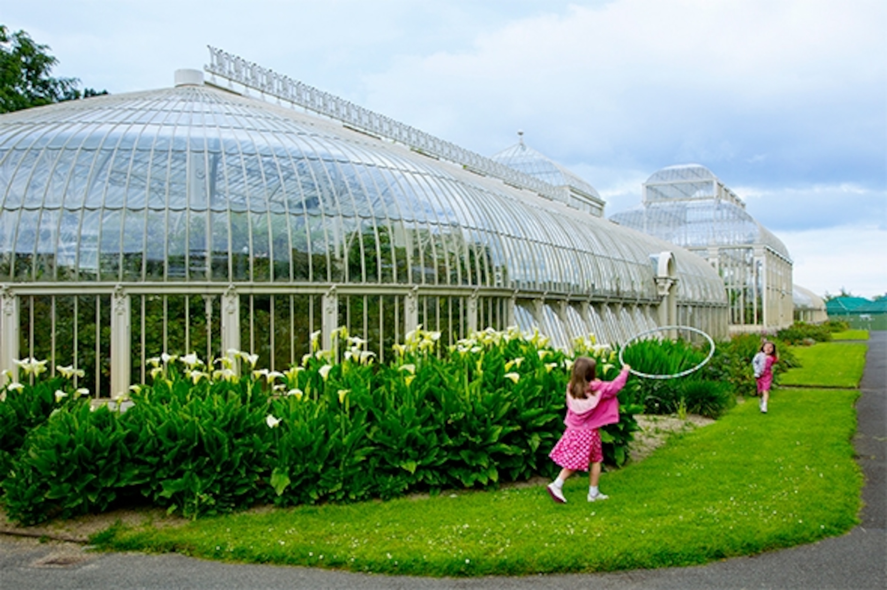The National Botanic Gardens, a city treasure in the Glasnevin neighborhood of Dublin, are a city treasure, and hold over twenty thousand plants in the gardens and Victorian greenhouses. (Photograph by Catherine Karnow)