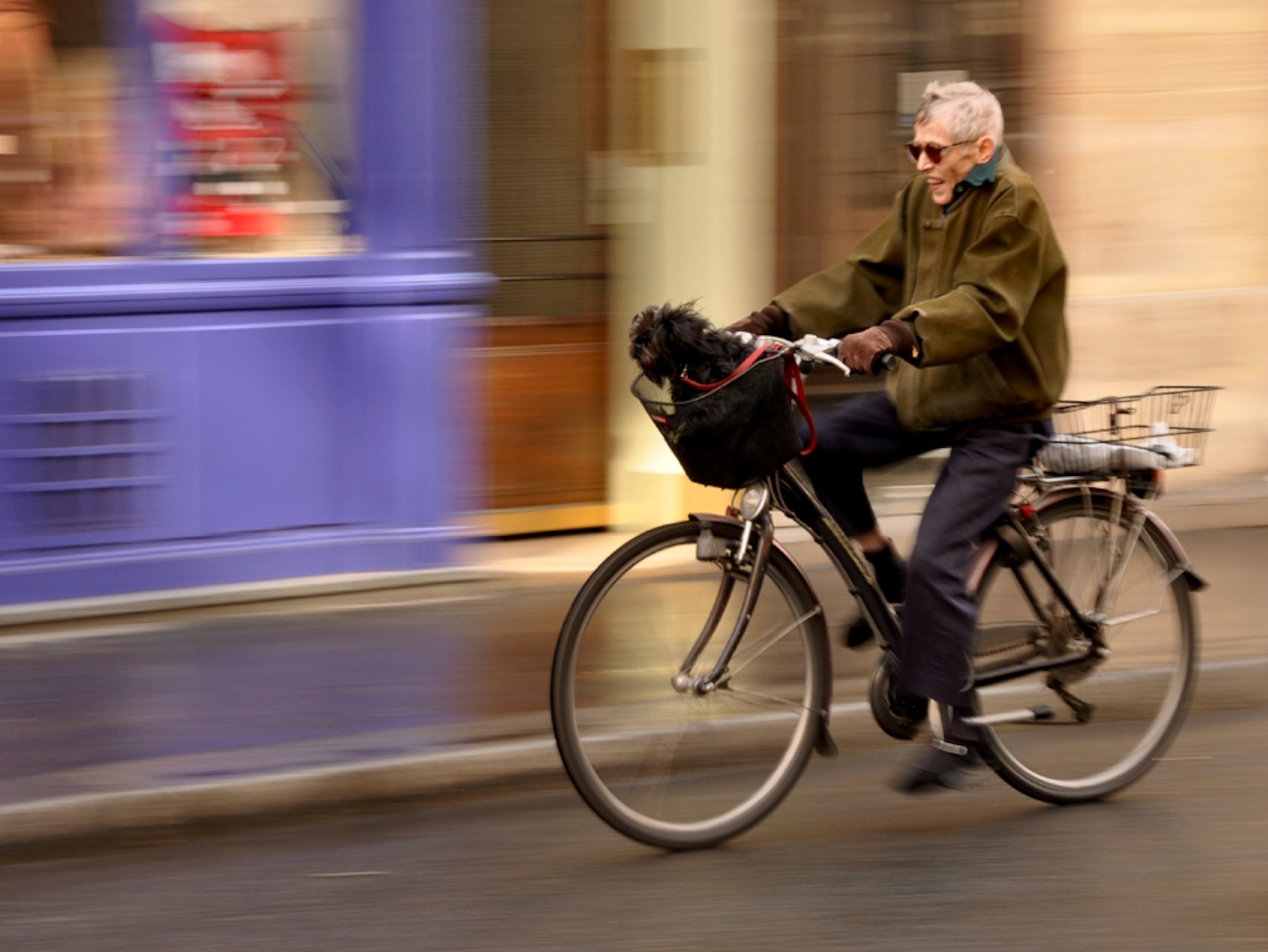 Man riding a bicycle with his dog