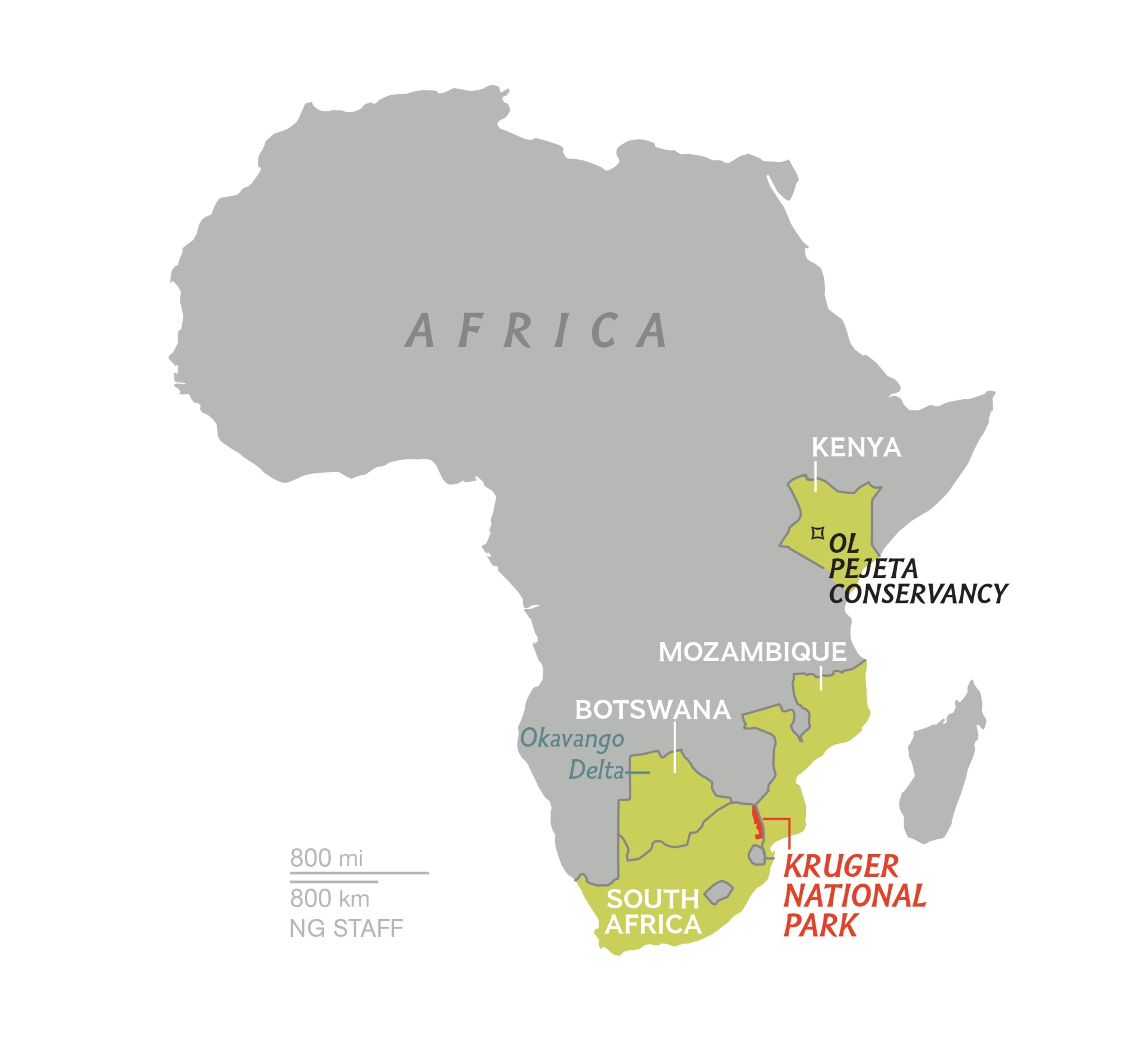 a rhino at sunset in Botswana.