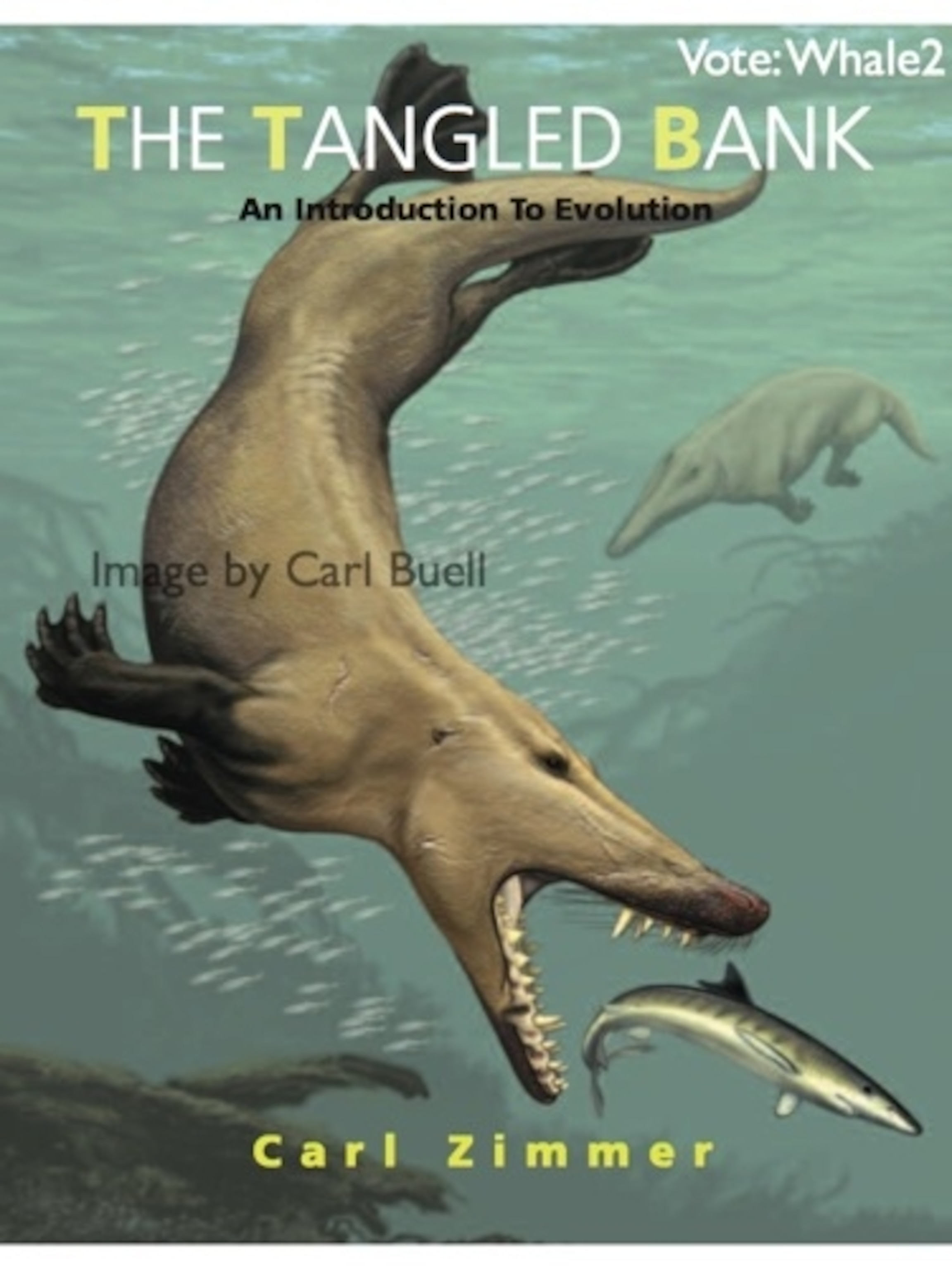 whale2-votemarked.jpg