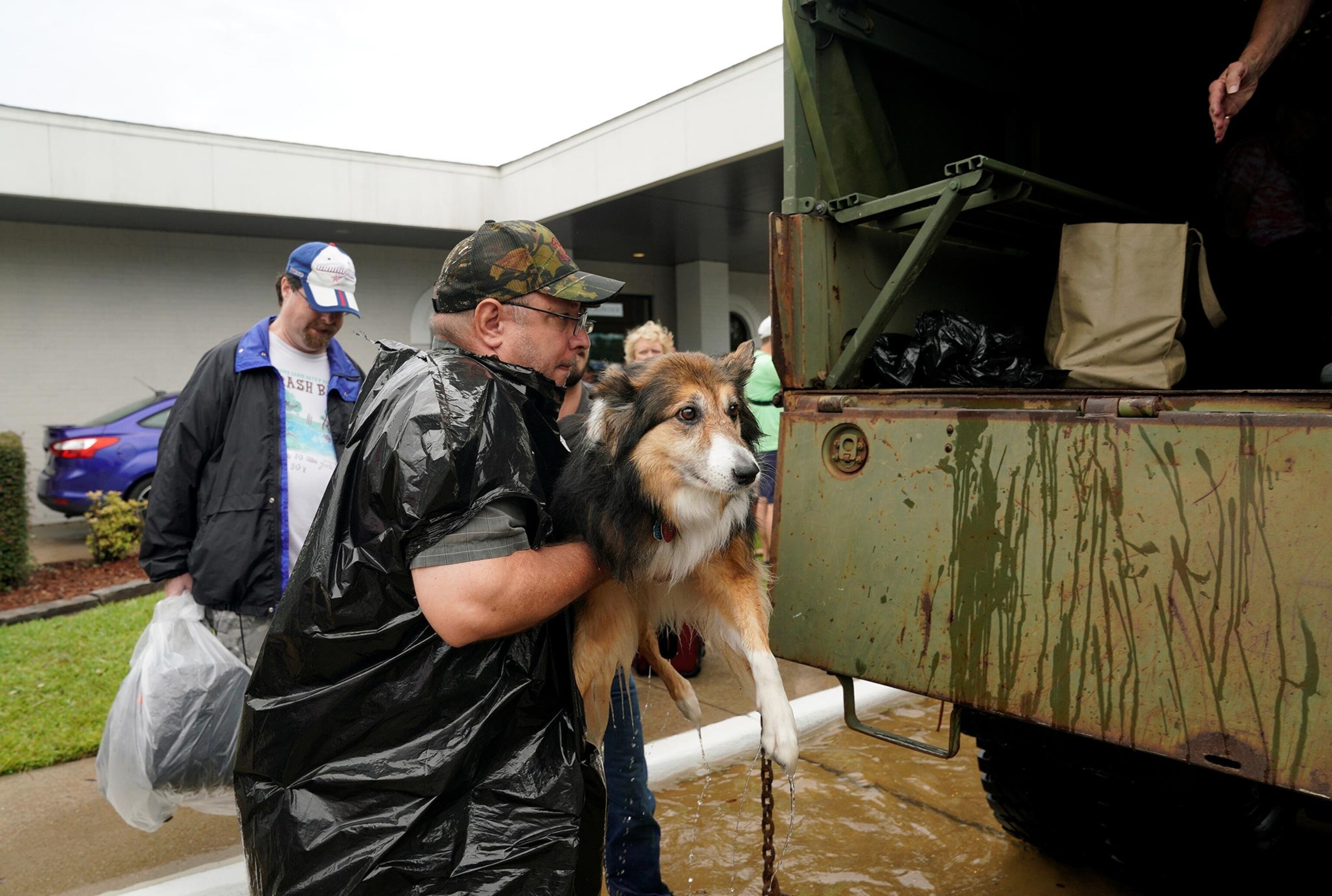 volunteers loading pets in military truck