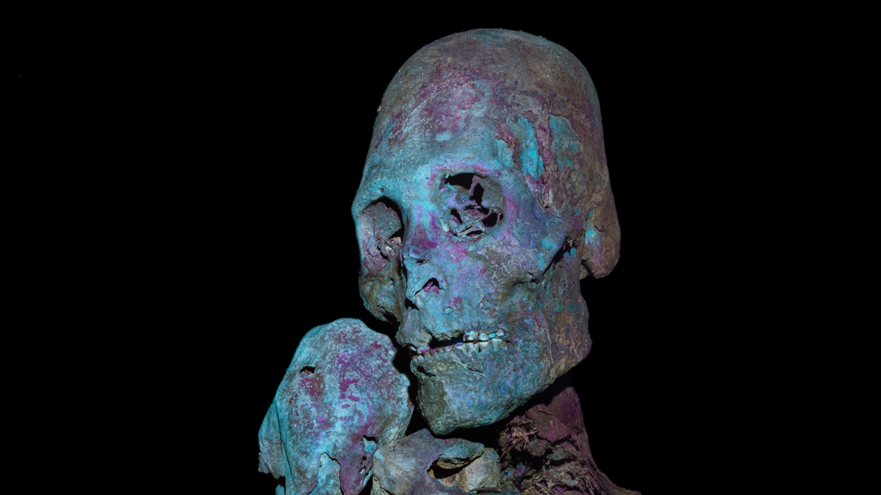 On the trail of the world’s best mummy sleuths