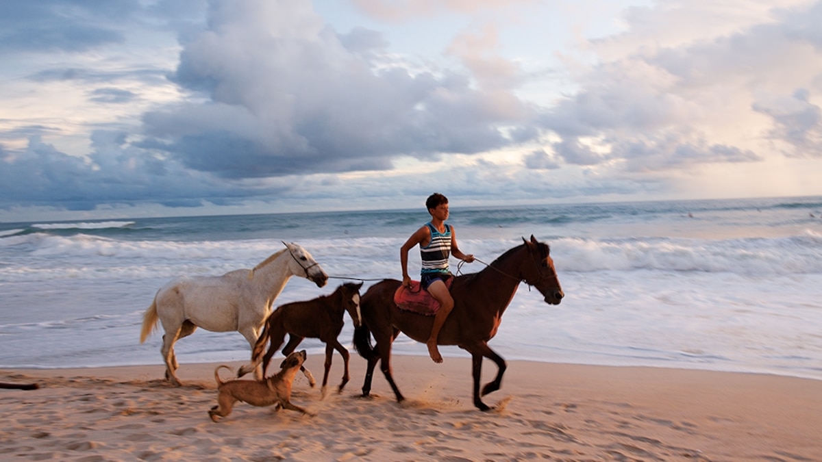 Start a Reservation visual data 4