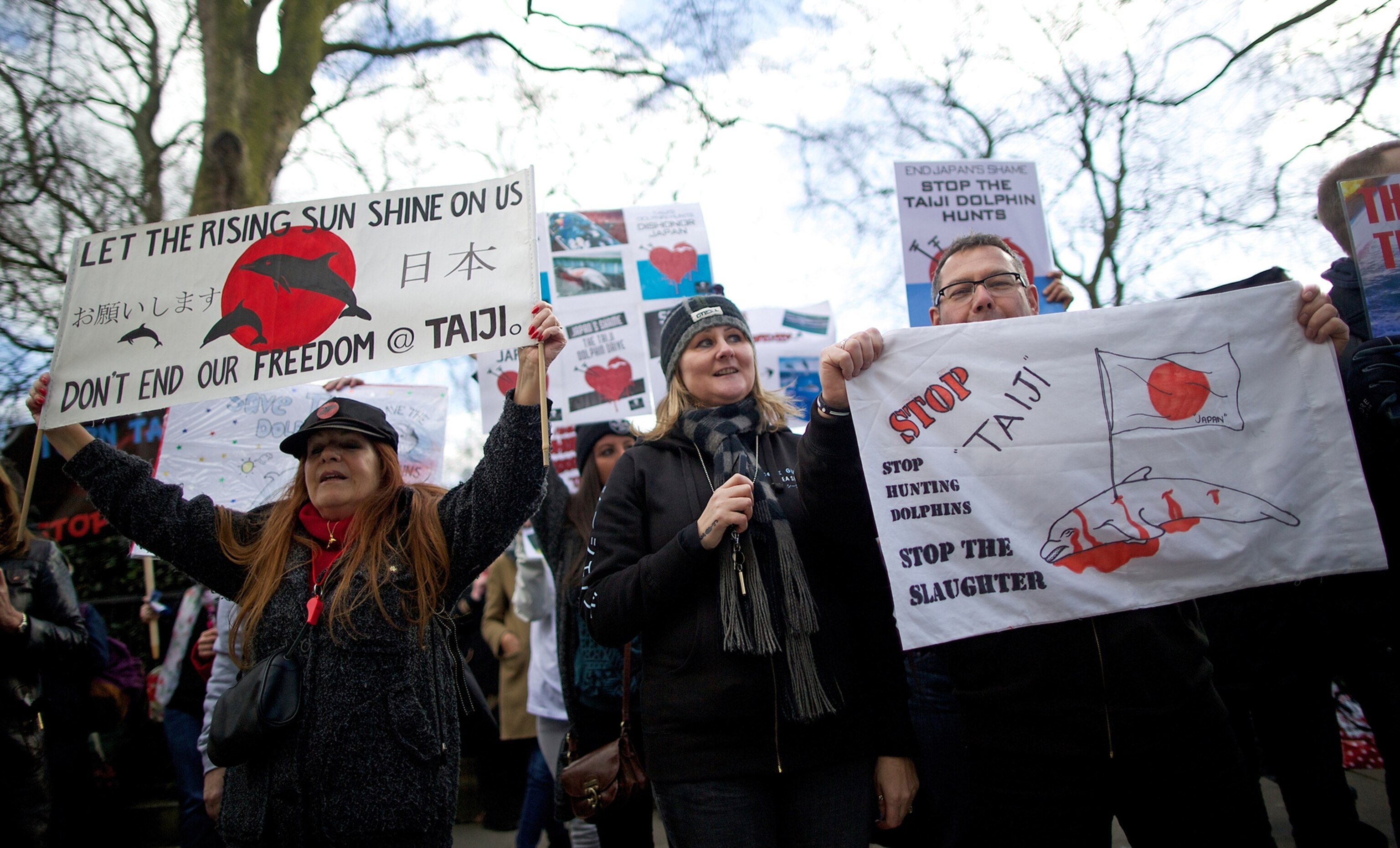 Protesters hold up placards against Japan's annual Taiji Dolphin Slaughter outside the Japanese Embassy during a protest in central London on February 21, 2014.