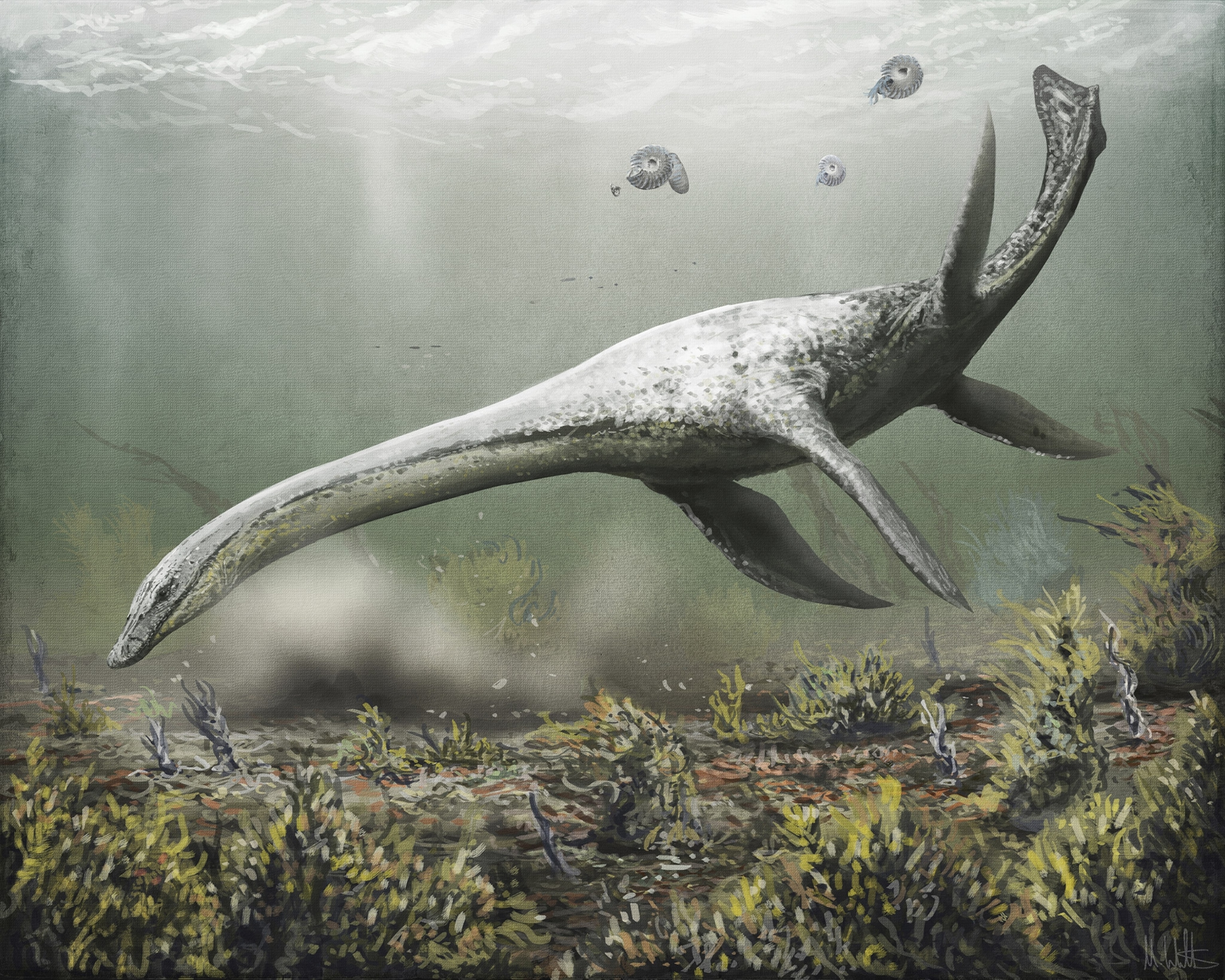 illustration of a long-necked dinosaur under water