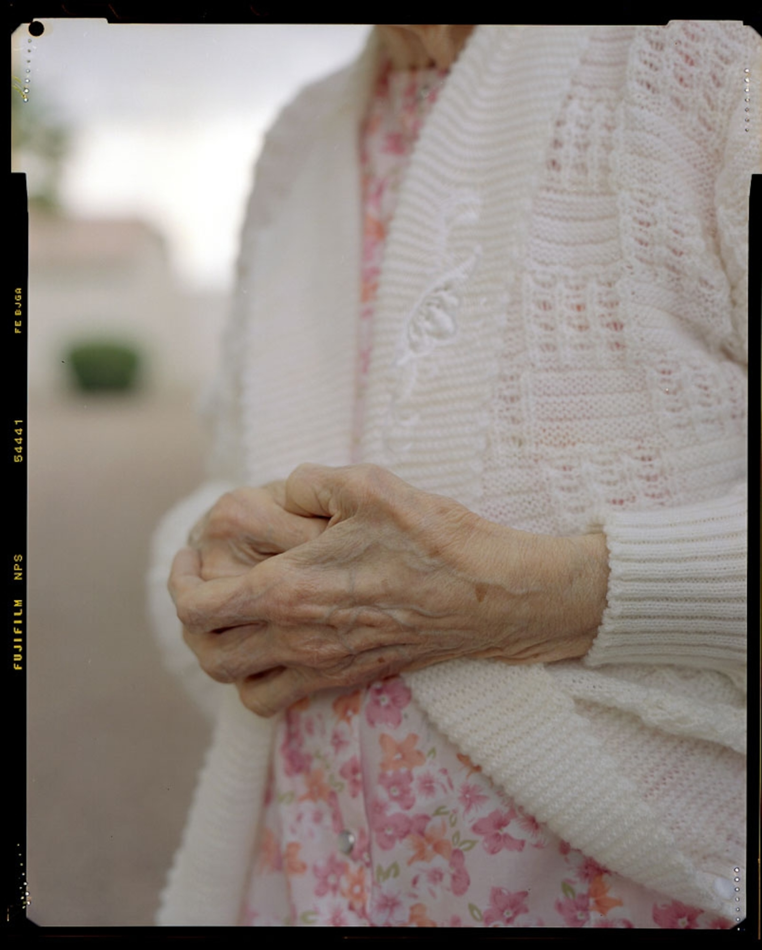 an elderly woman's hands