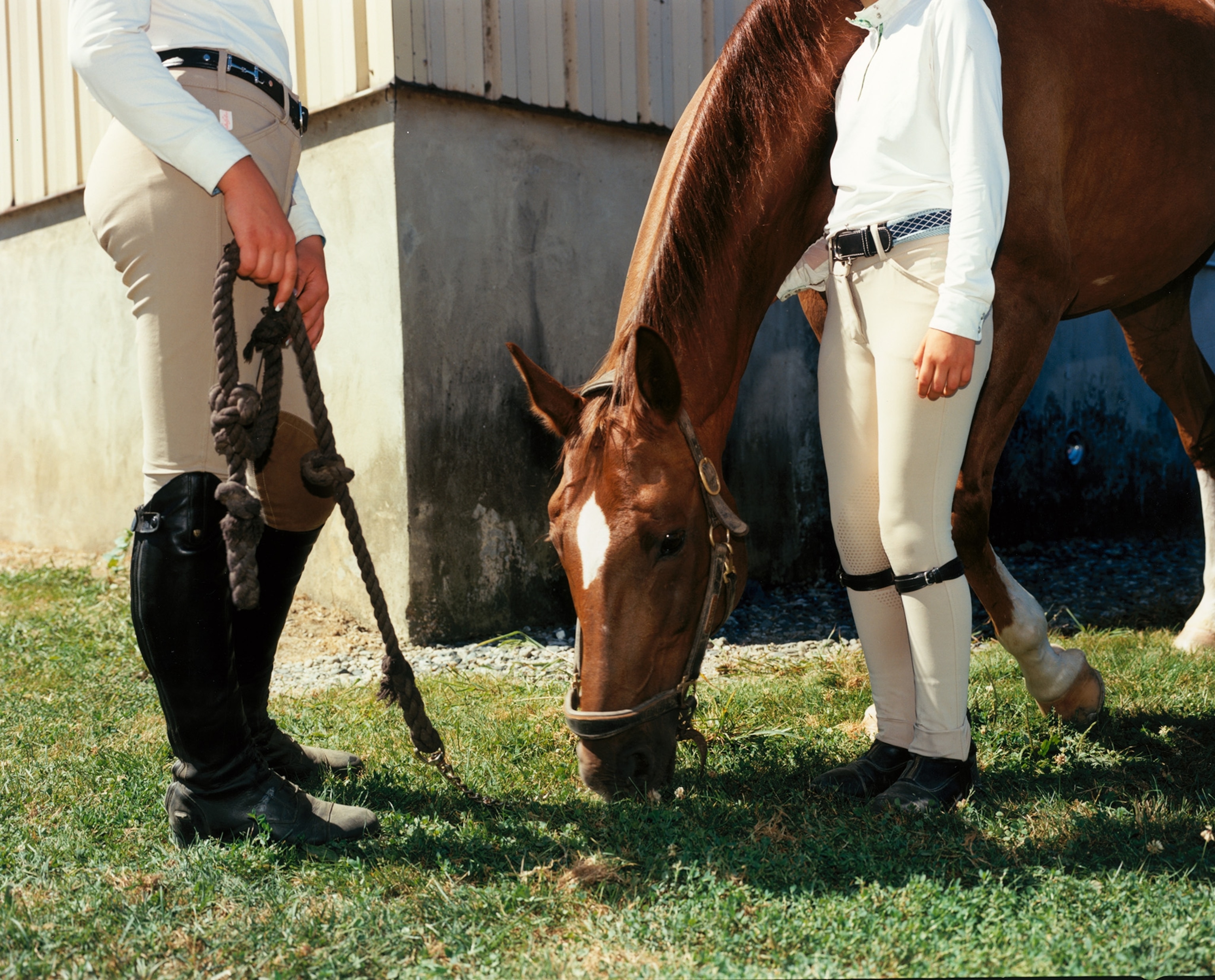 A horse eating grass next to the legs of two people in khaki pants and white shirts, with one of them wearing black knee-high riding boots.