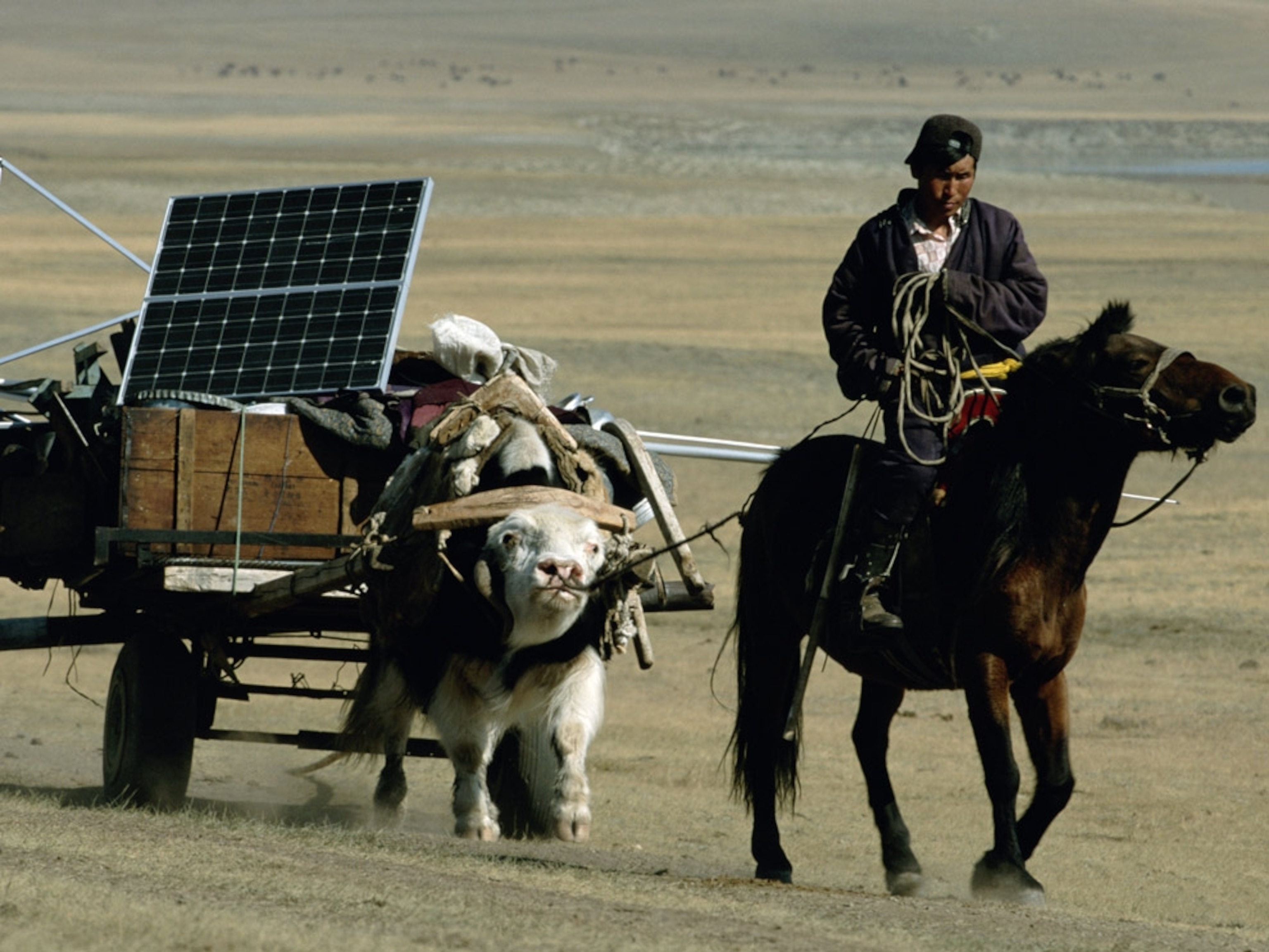 A herder on horseback