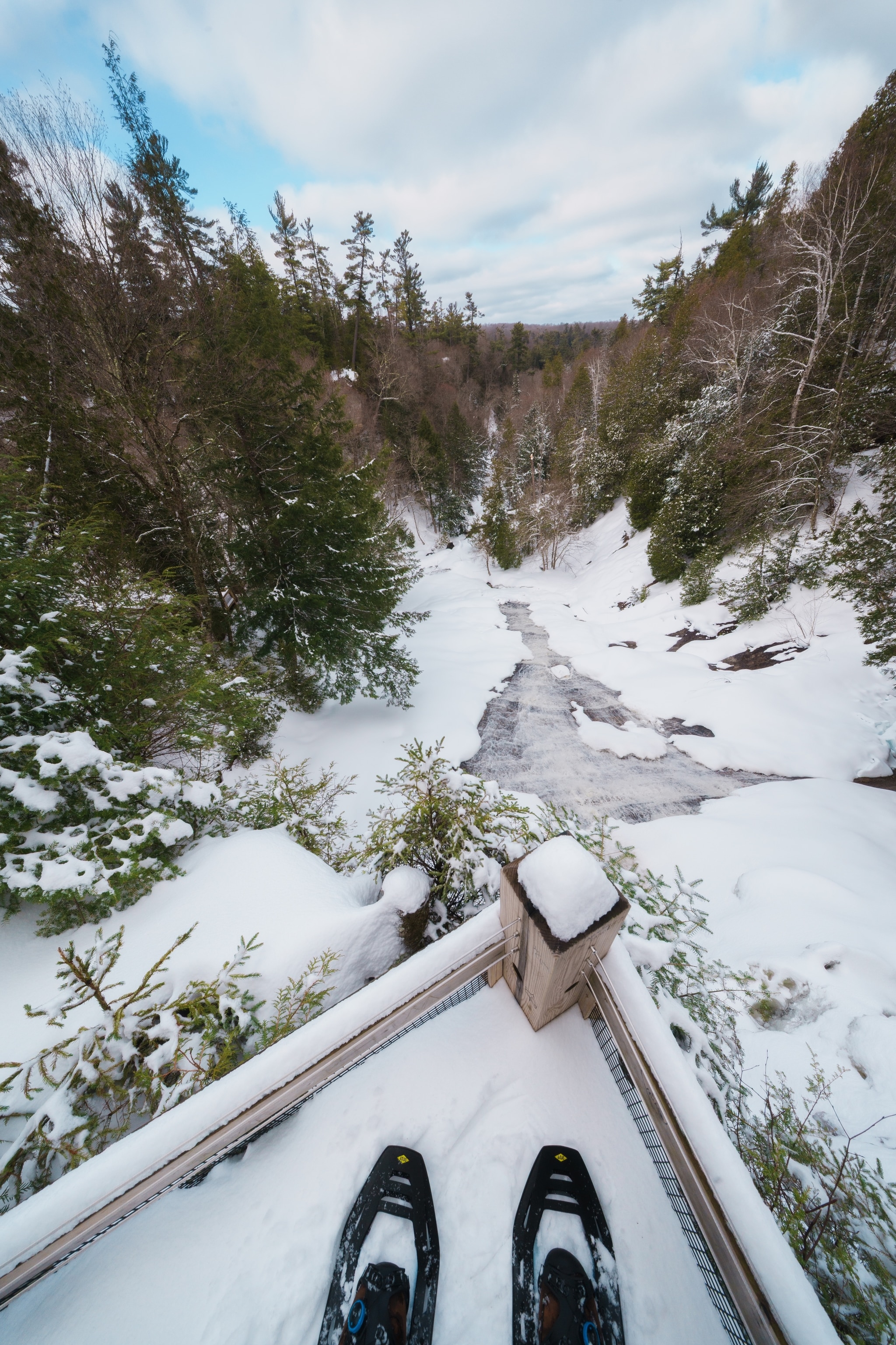 Winter in Michigan
