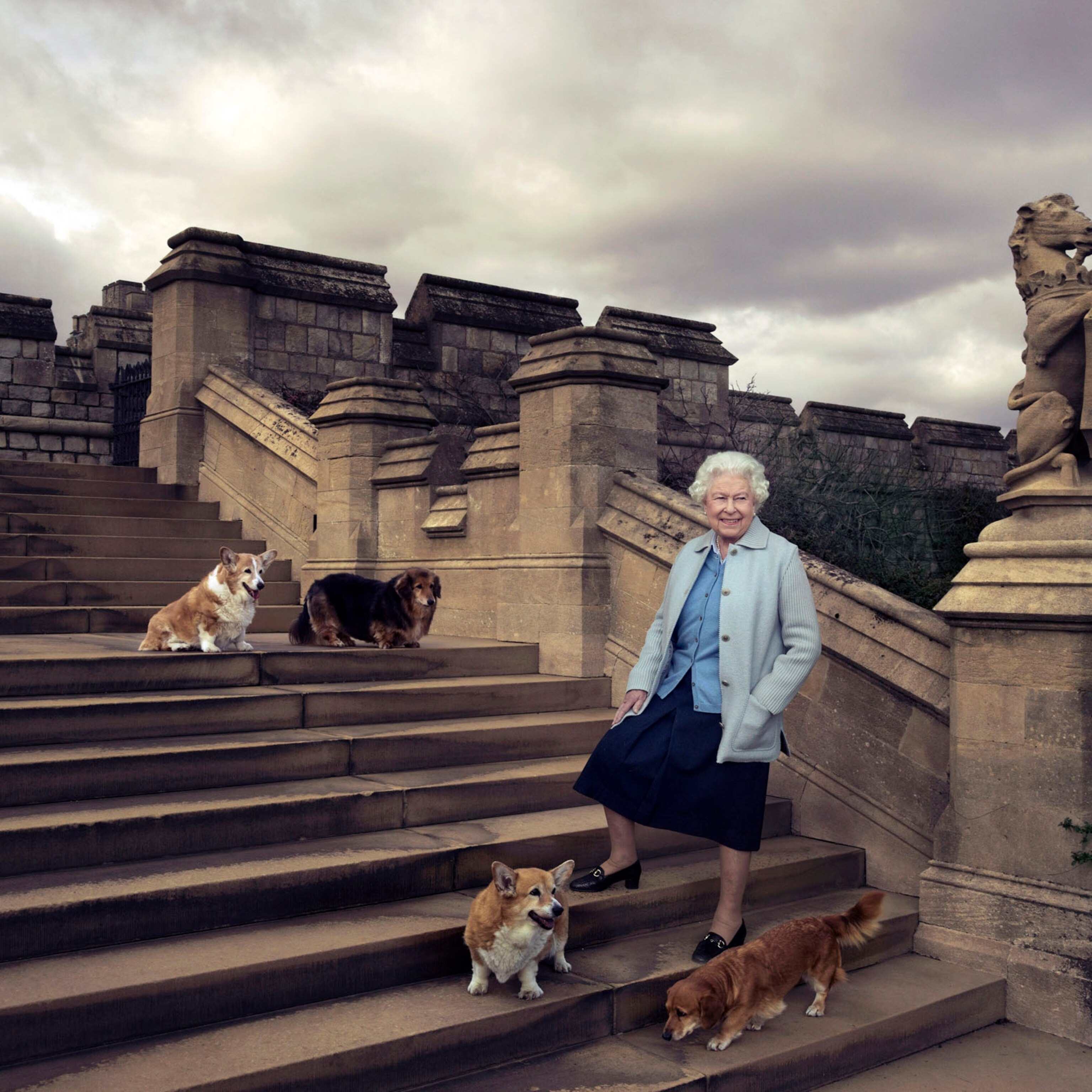 Joy Over First White House Shelter Dog Reflects Growing Embrace Of Rescue Pets