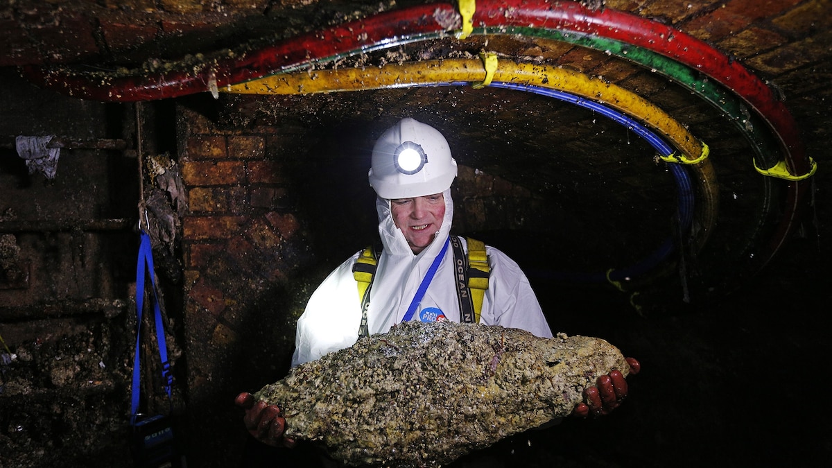 Huge Blobs of Fat and Trash Are Filling the World’s Sewers