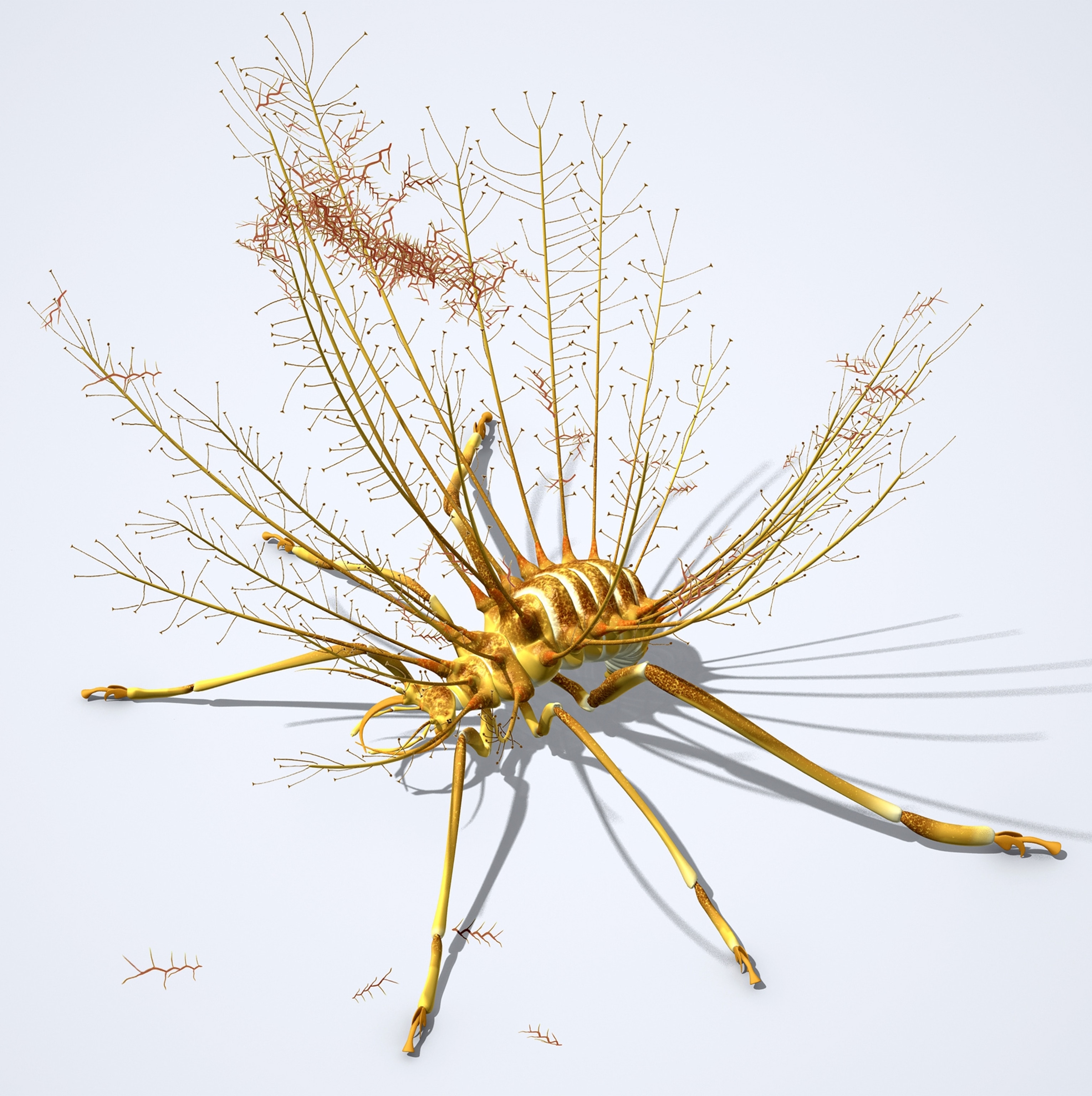 An illustration of an extinct lacewing that decorated itself with garbage.