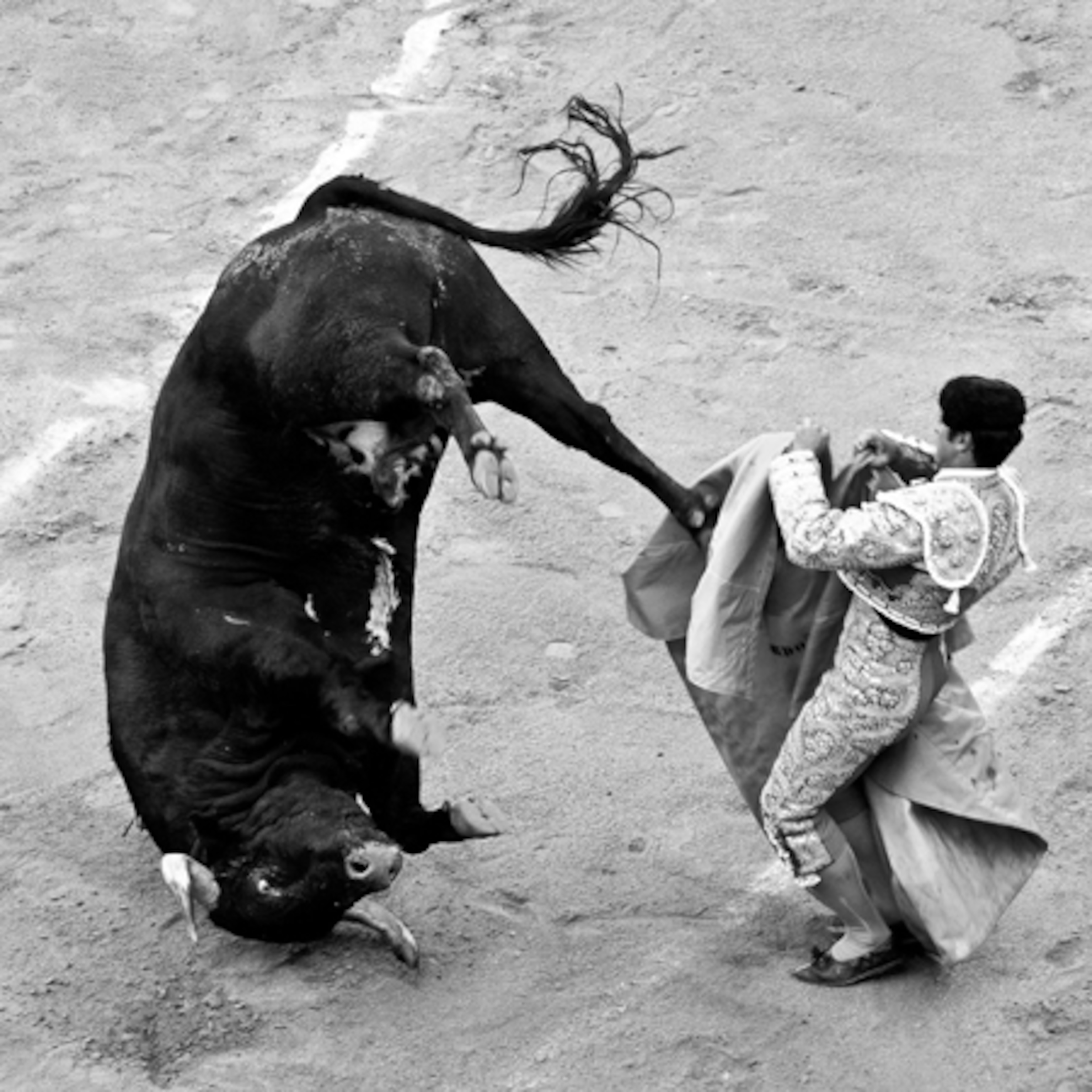 Bullfight in Barcelona