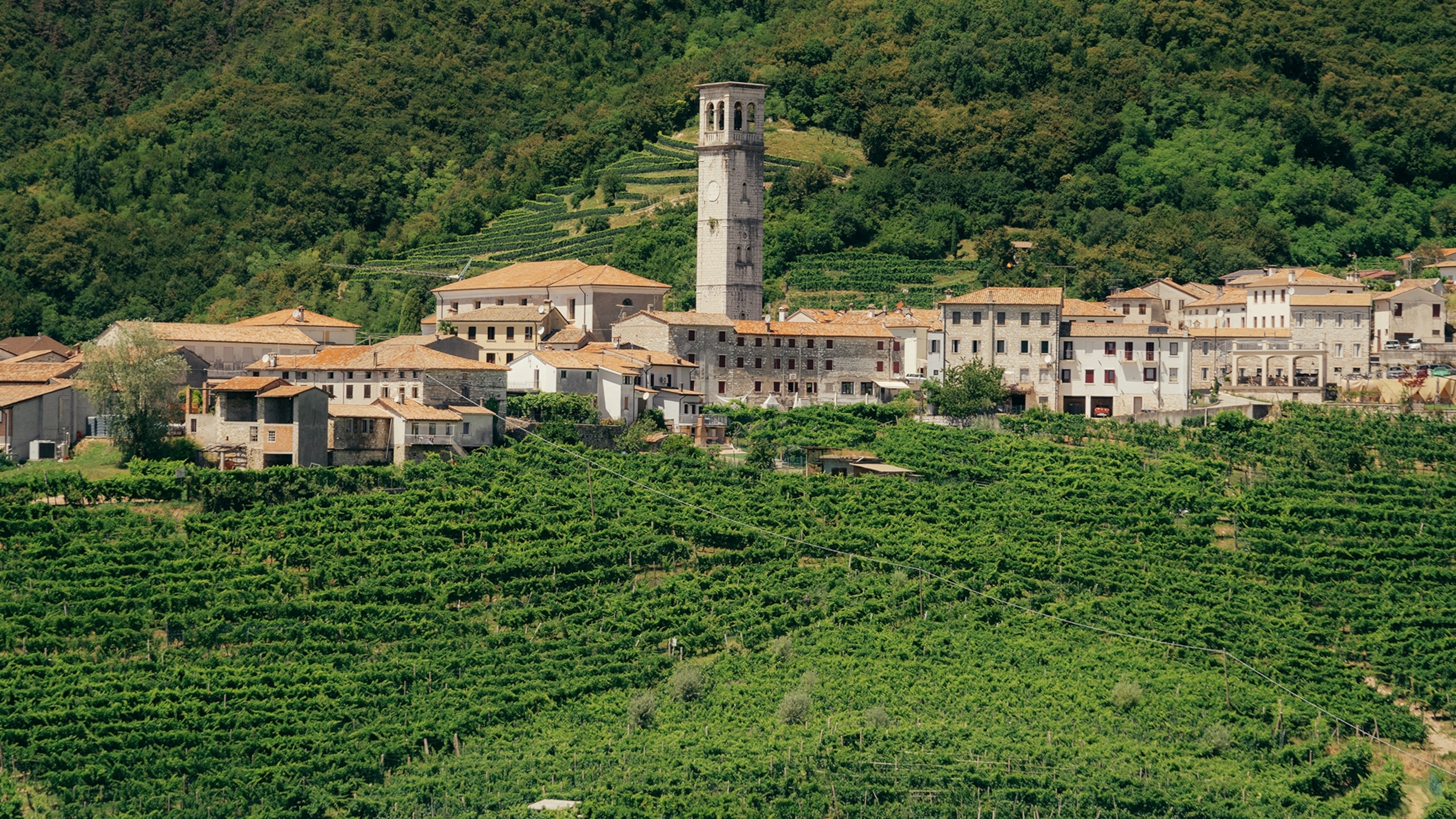 This Hike Takes in Sparkling Views of Italy's Prosecco Hills