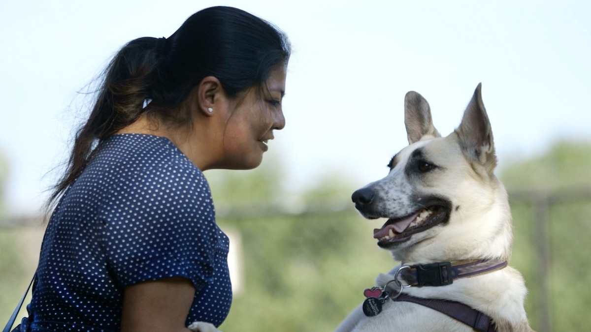 Rescued Sochi Dogs Adjusting to an American Life National Geographic(02)