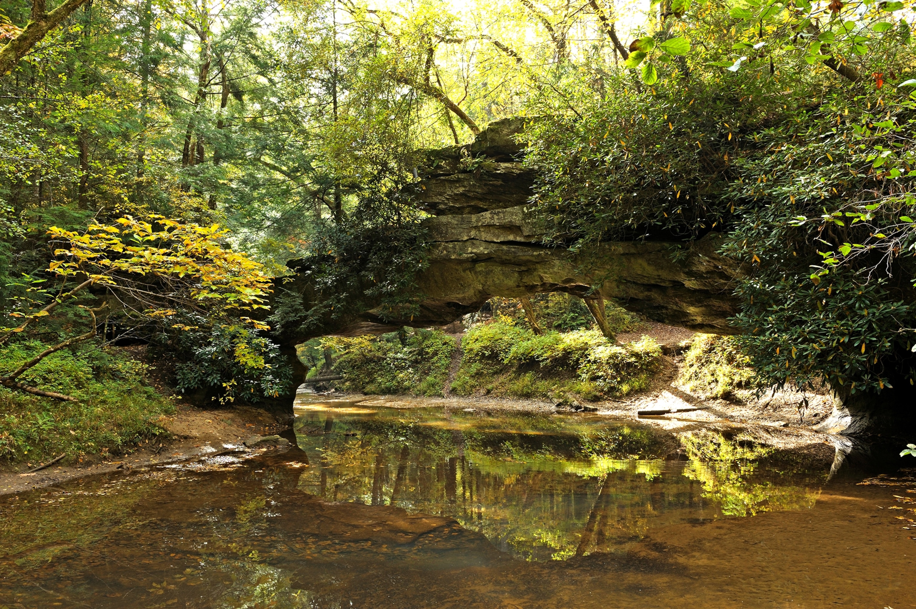 the Rocky Arch at the Red River Gorge Geological Area in Kentucky