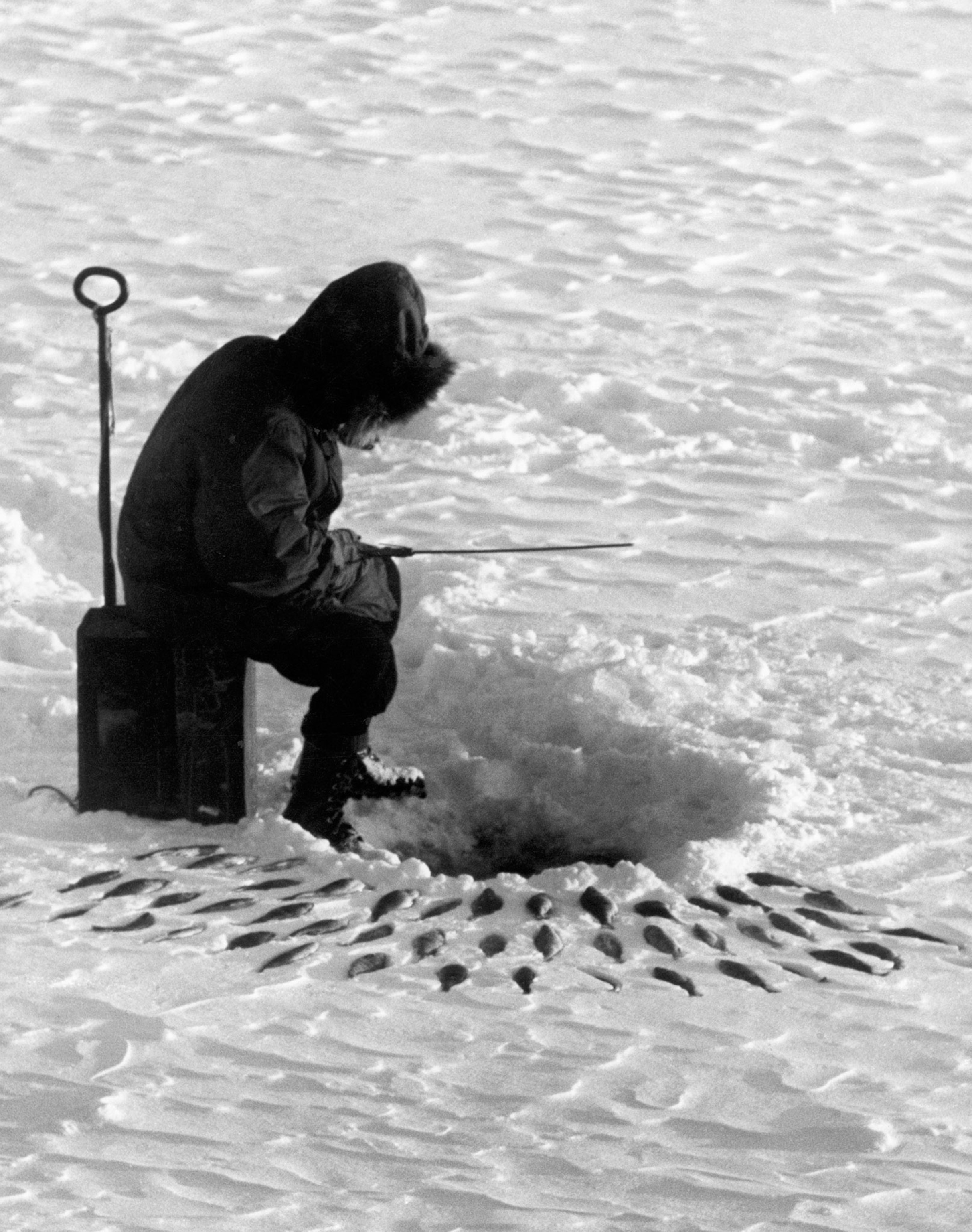 an icefisherman with his catch