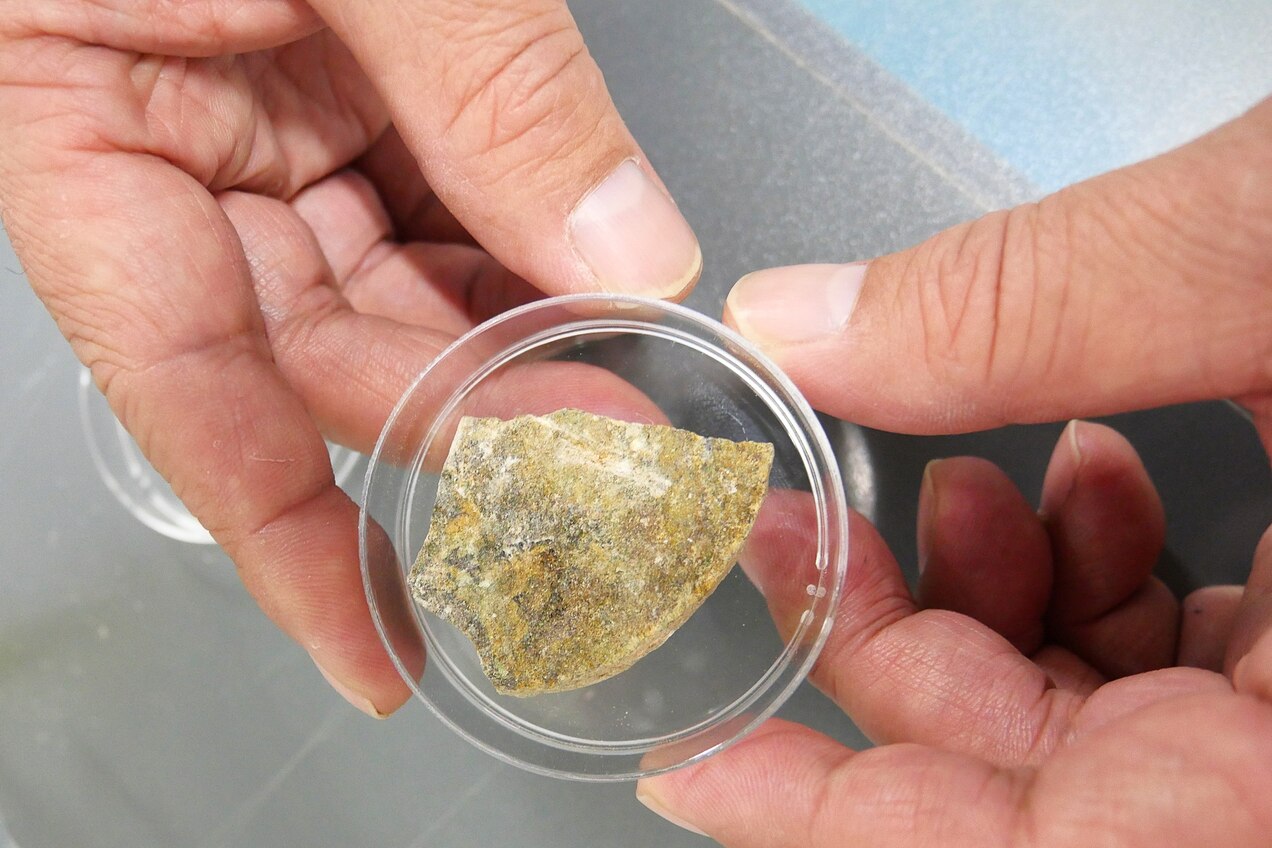 Bizarre life-forms found thriving in ancient rocks beneath the seafloor