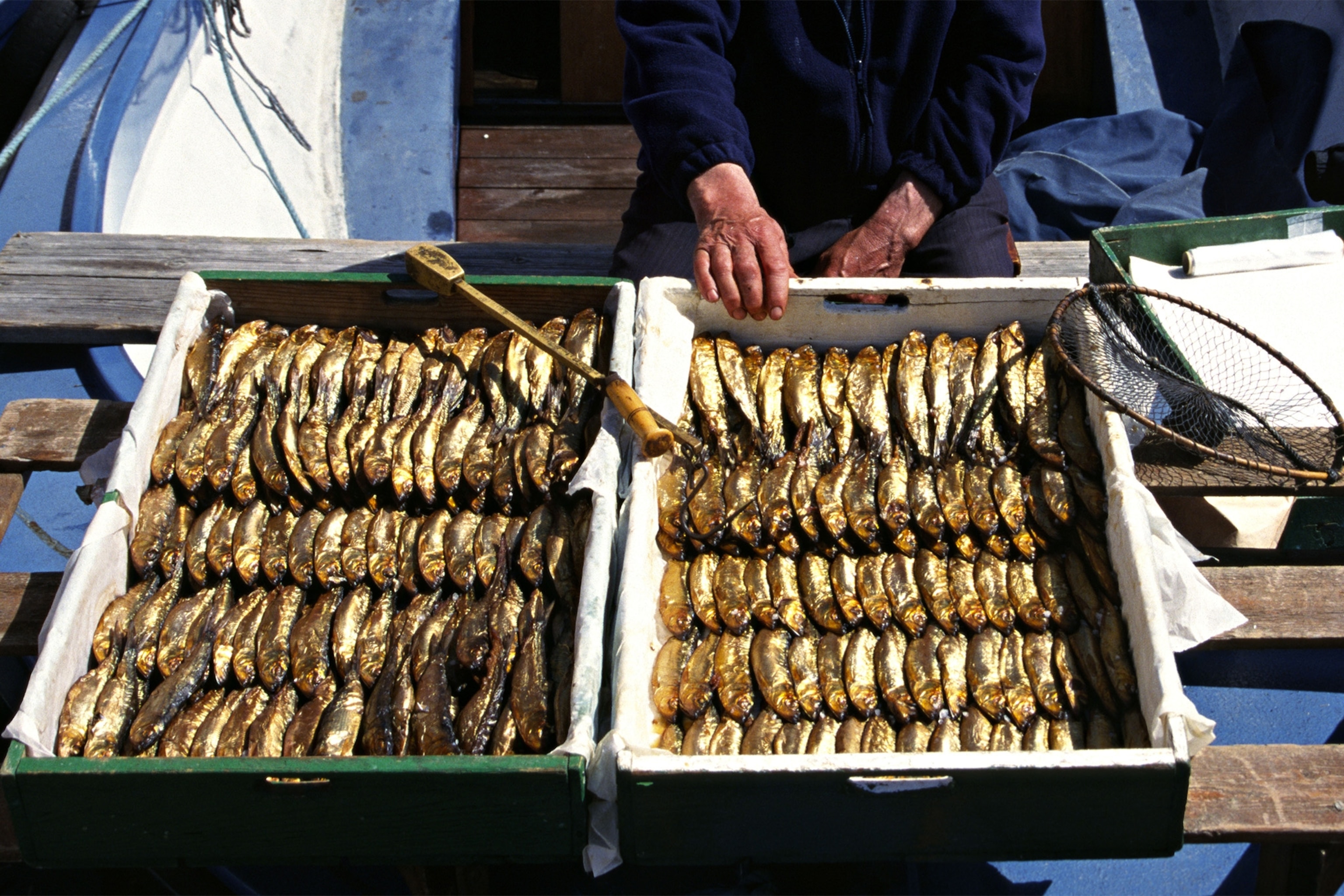 Close-up of smoked herring in a market