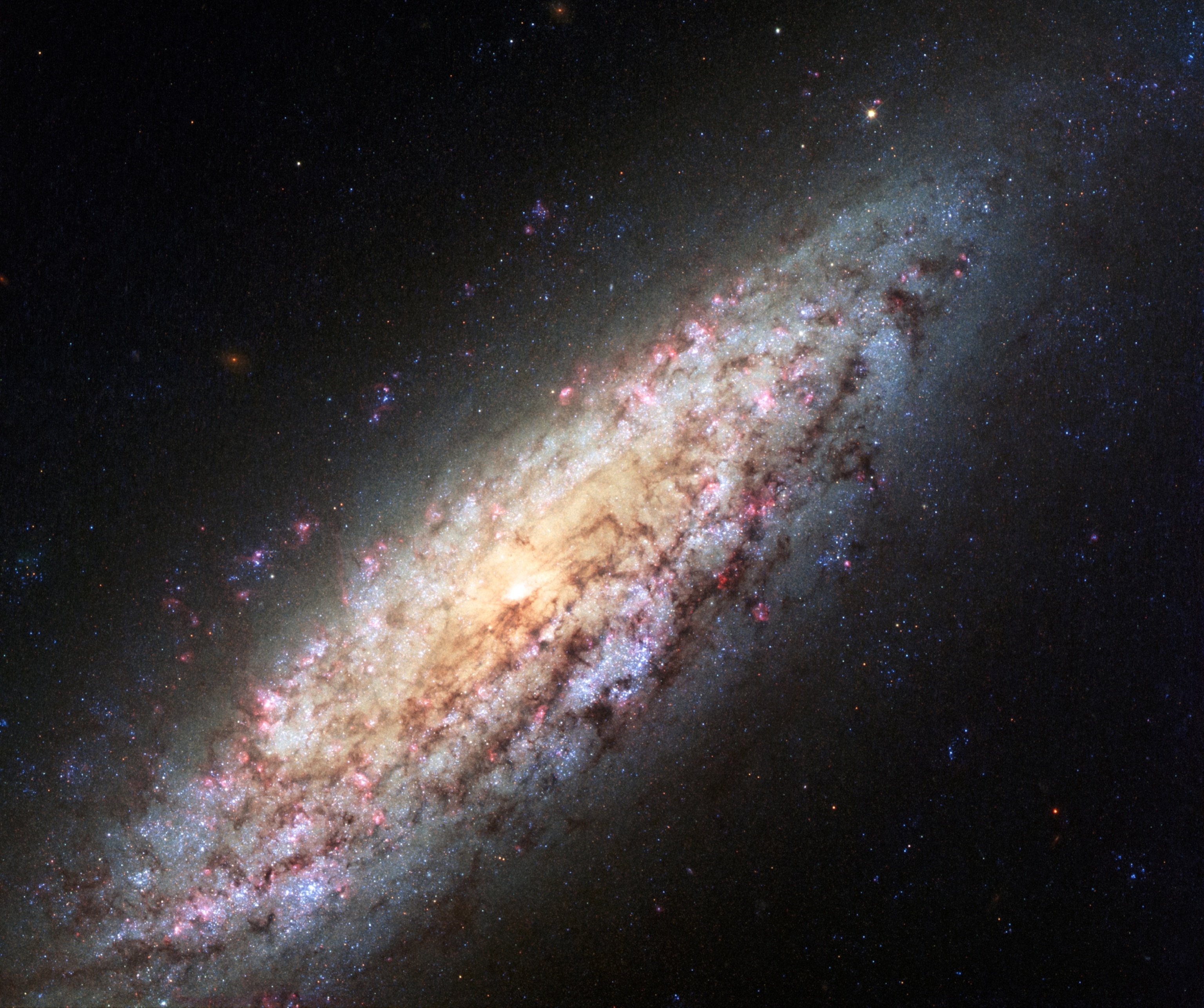 galaxy NGC 6503