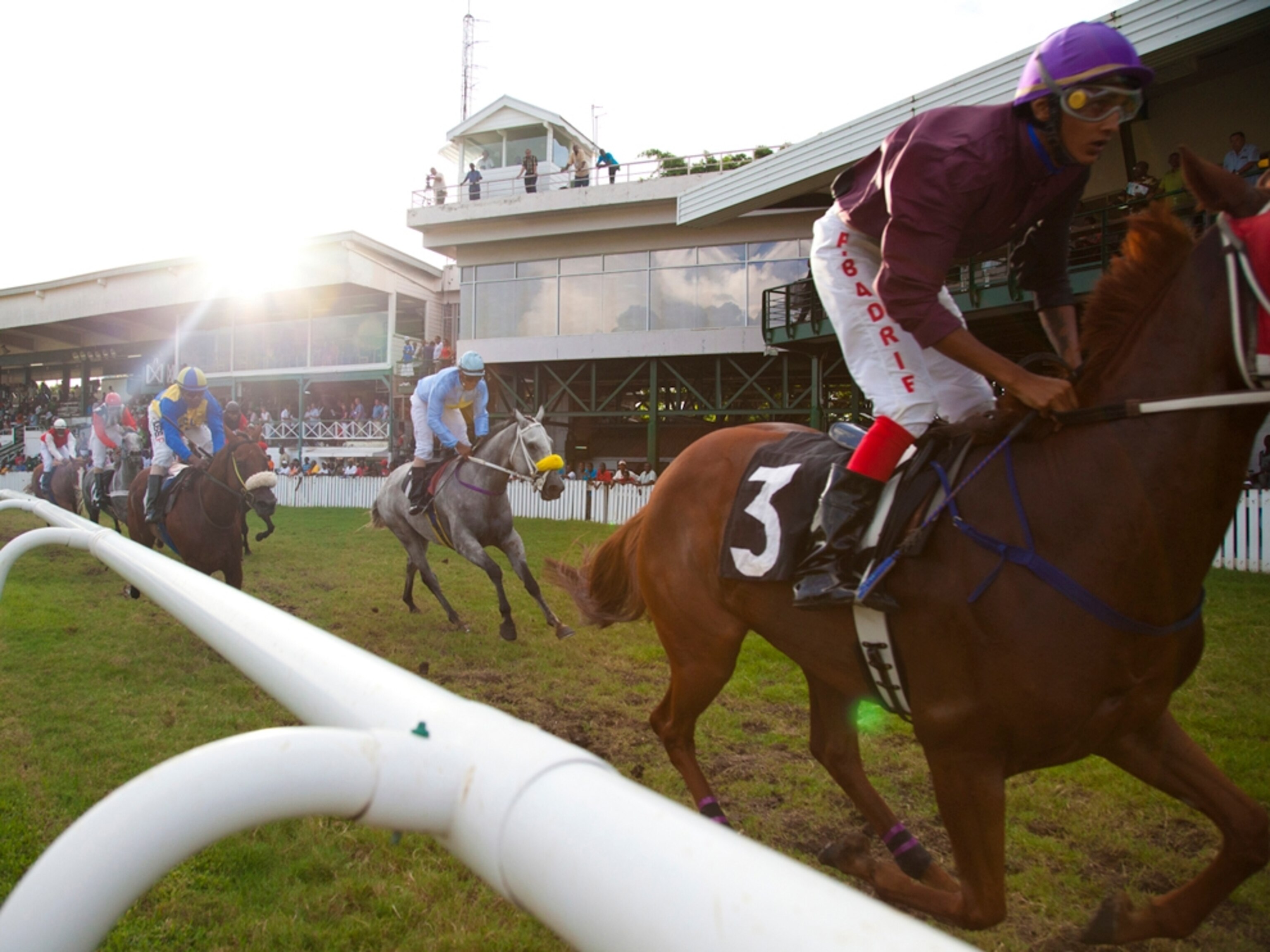 horse racing track Barbados