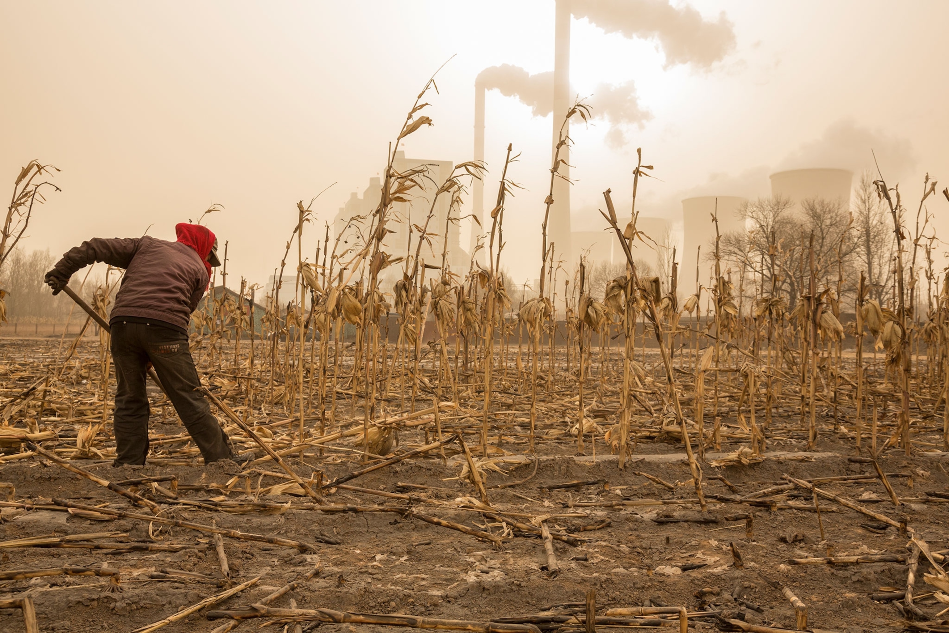 Shentou Number 2 Power Plante near Shouzhou China