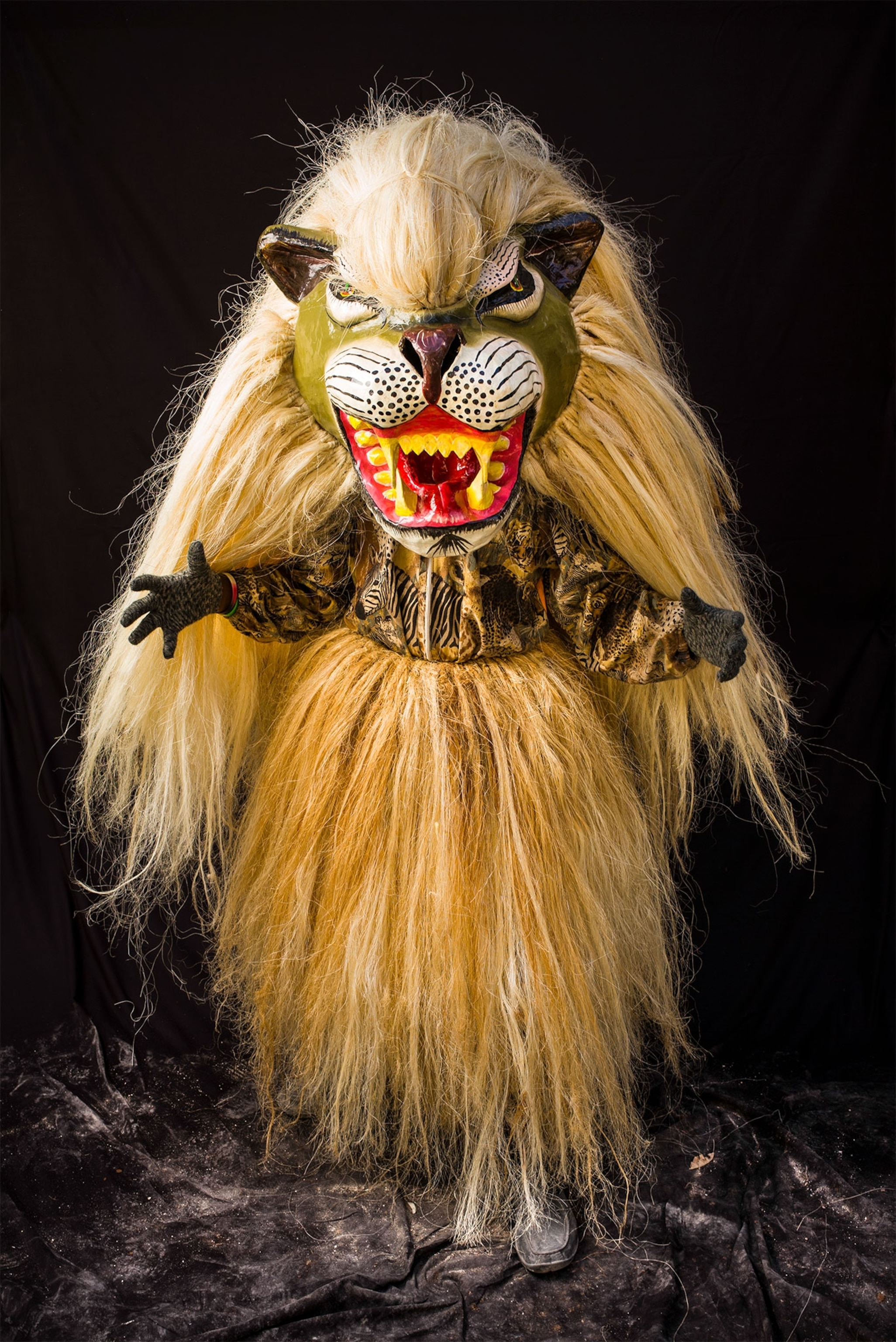 a person dressed as a lion