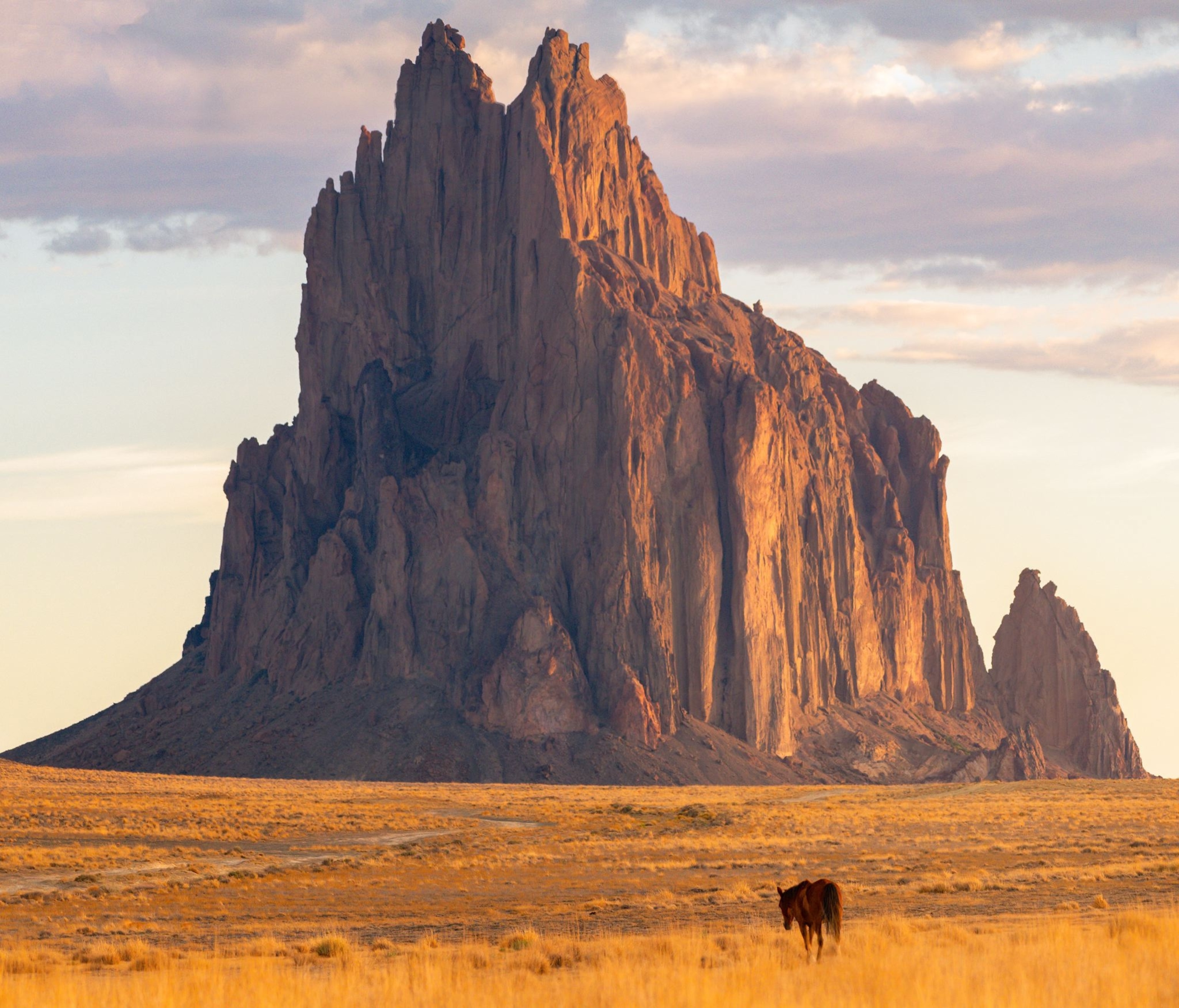 a wild horse seen near Shiprock in Northern New Mexico