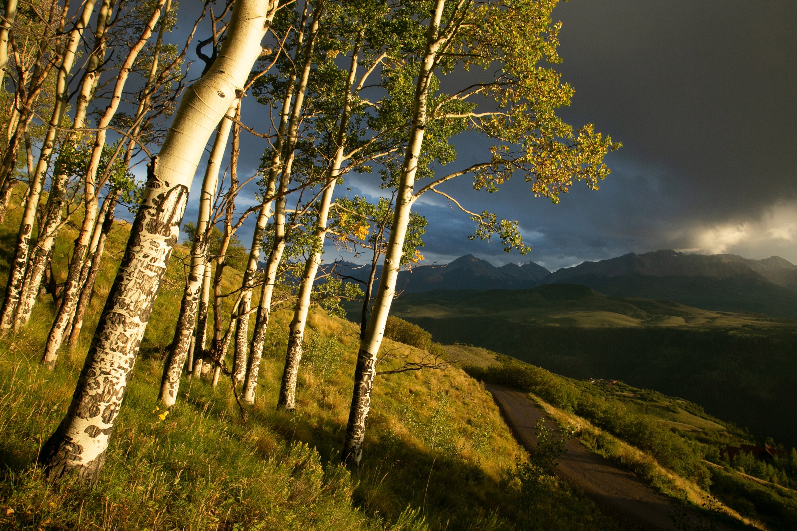 a view from Last Dollar Road near Telluride, Colorado
