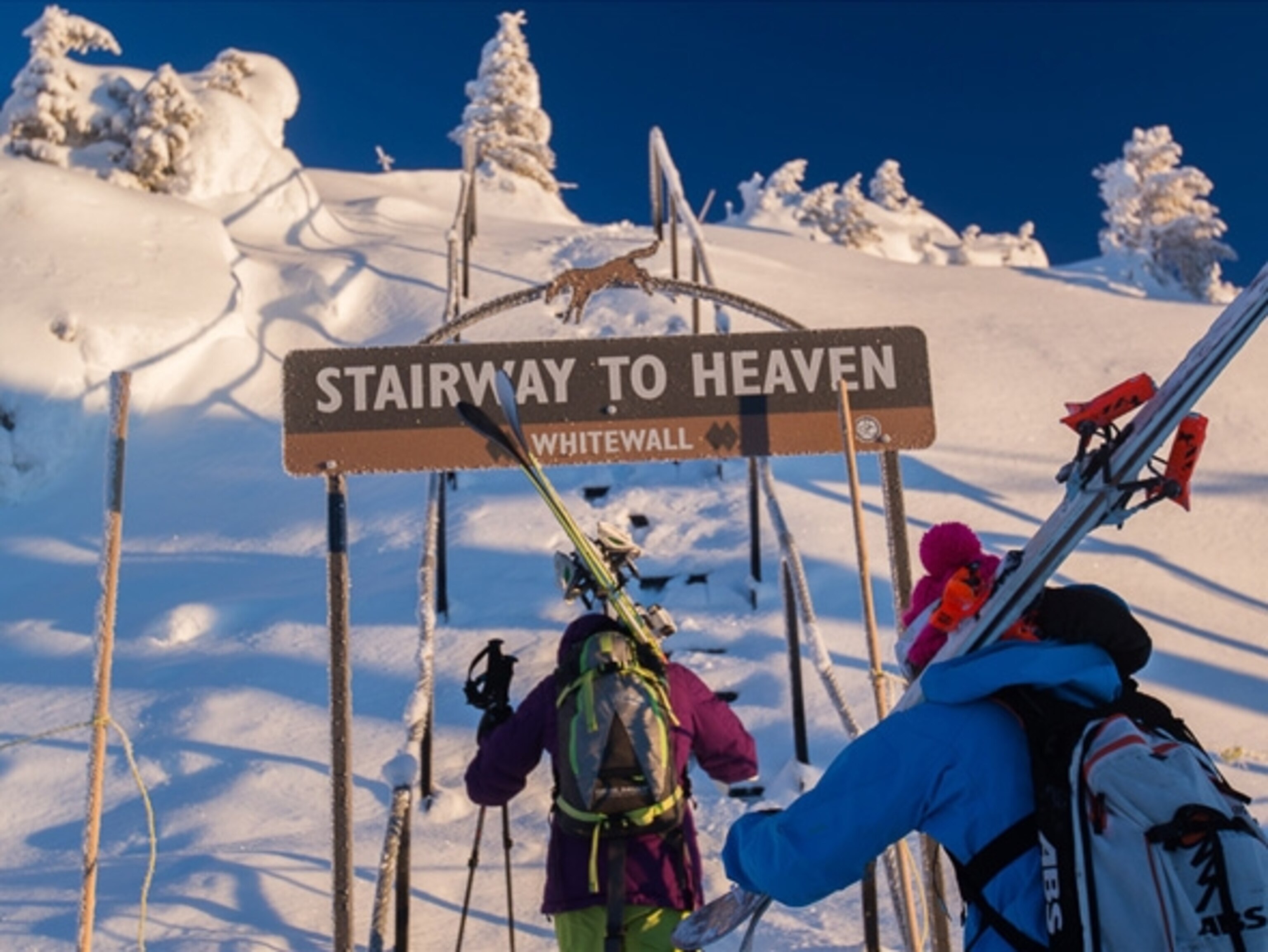 Photograph by Will Wissman