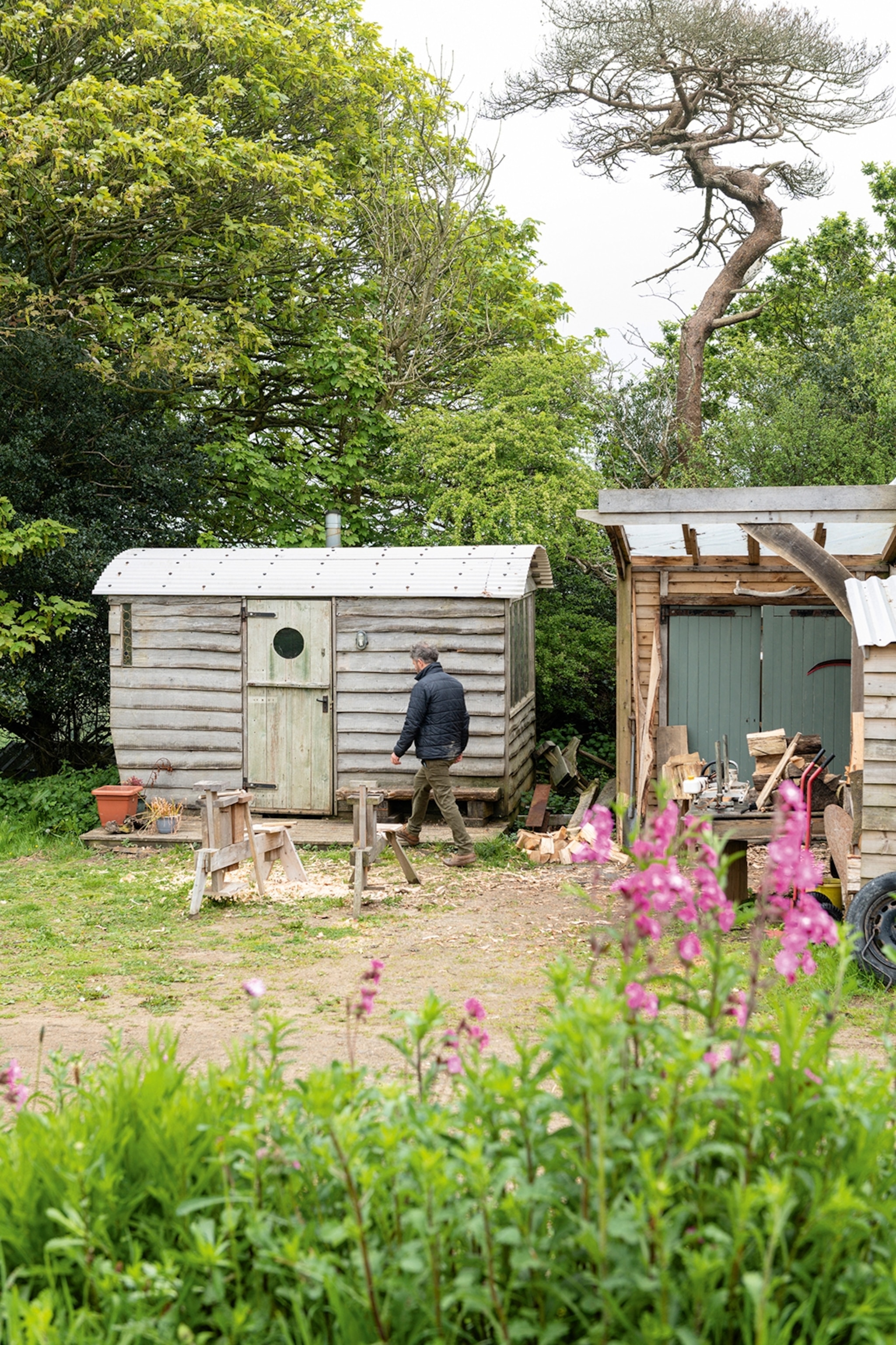 A backyard with simple wooden sheds and wildflowers; a man walks past with his back to the camera.