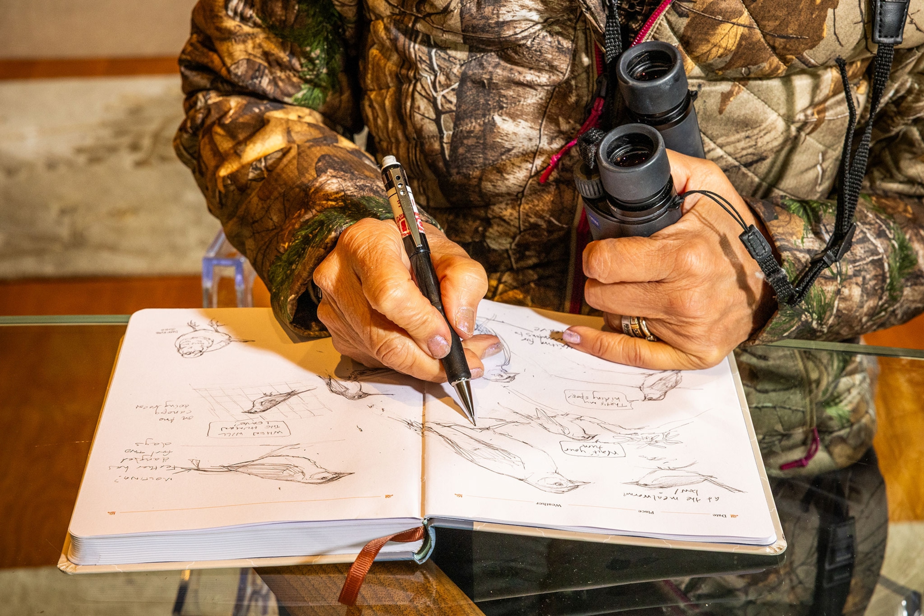 A close view of images of birds in a book.