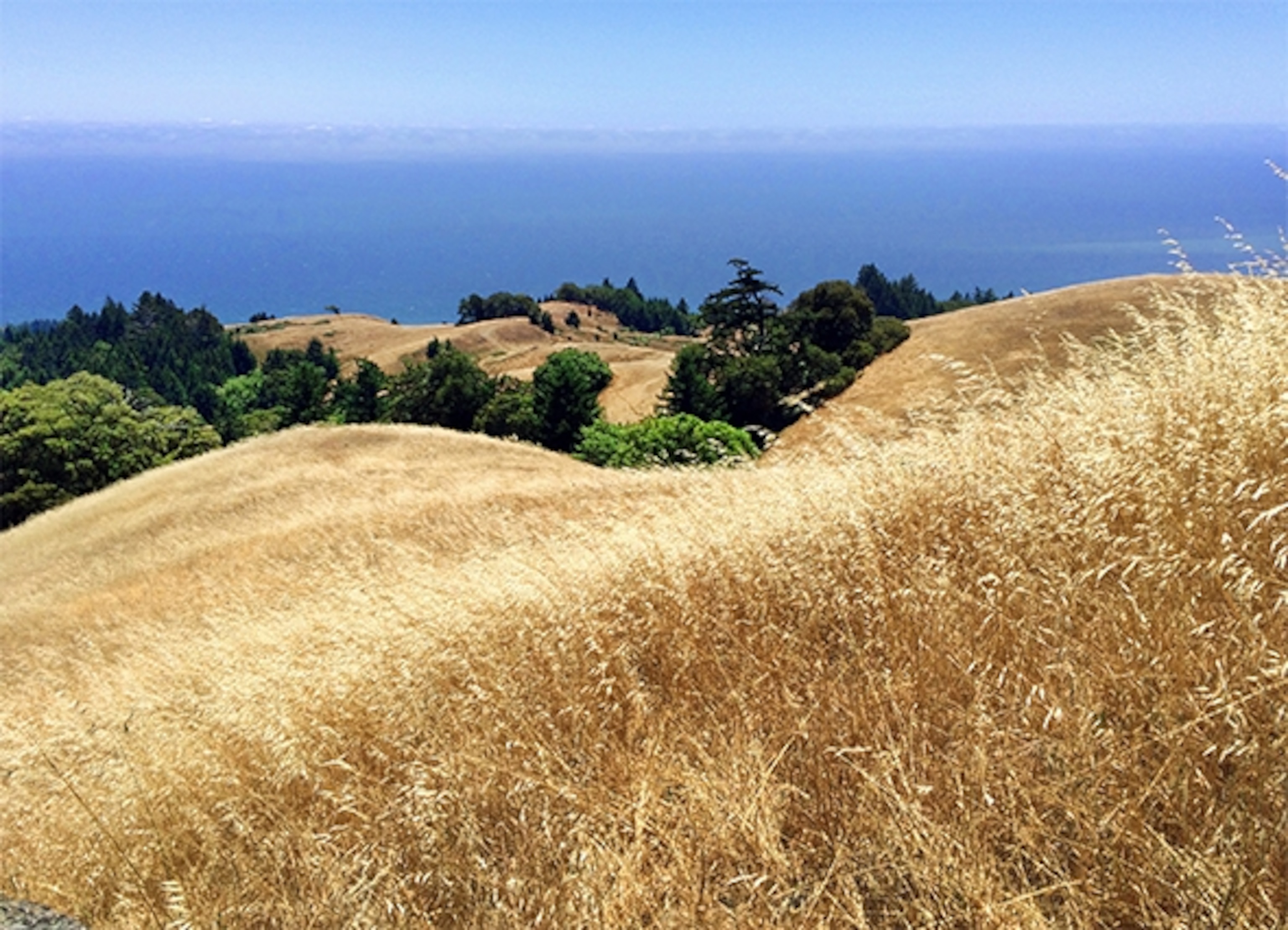 The Matt Davis Trail, which starts at Stinson Beach, leads up to the open face of Mount Tamalpais with uninterrupted views of the Pacific ocean. (Photograph by Catherine Karnow)