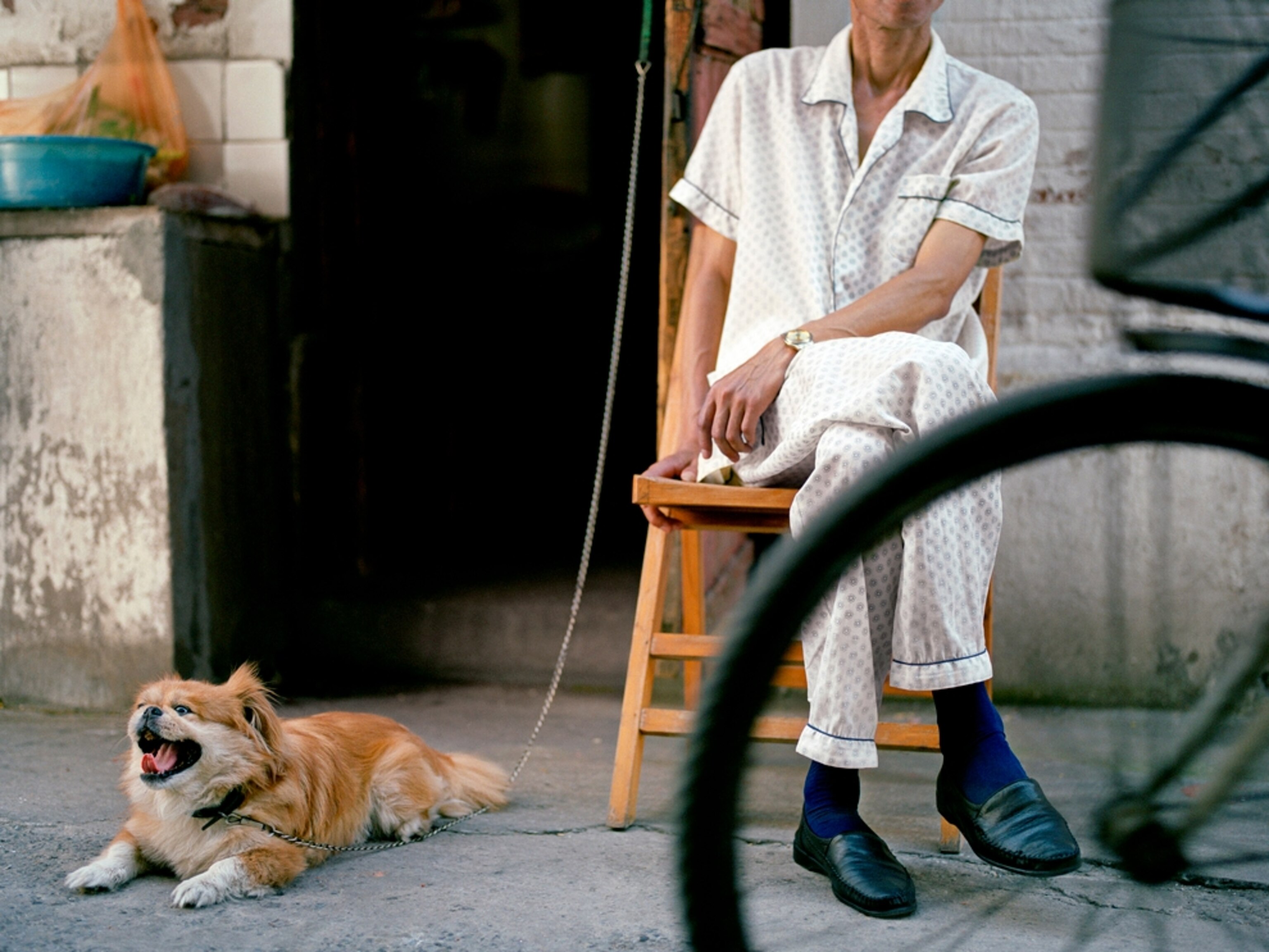 Man sitting with dog